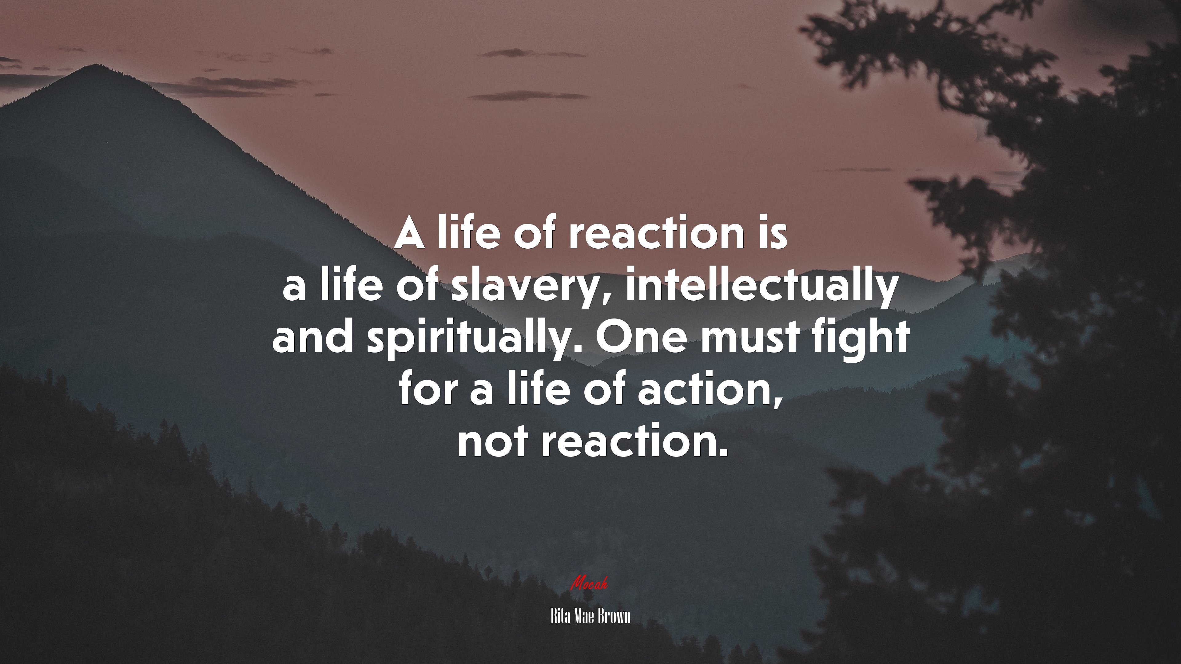 A life of reaction is a life of slavery, intellectually and spiritually. One must fight for a life of action, not reaction. | Rita Mae Brown quote HD Wallpaper