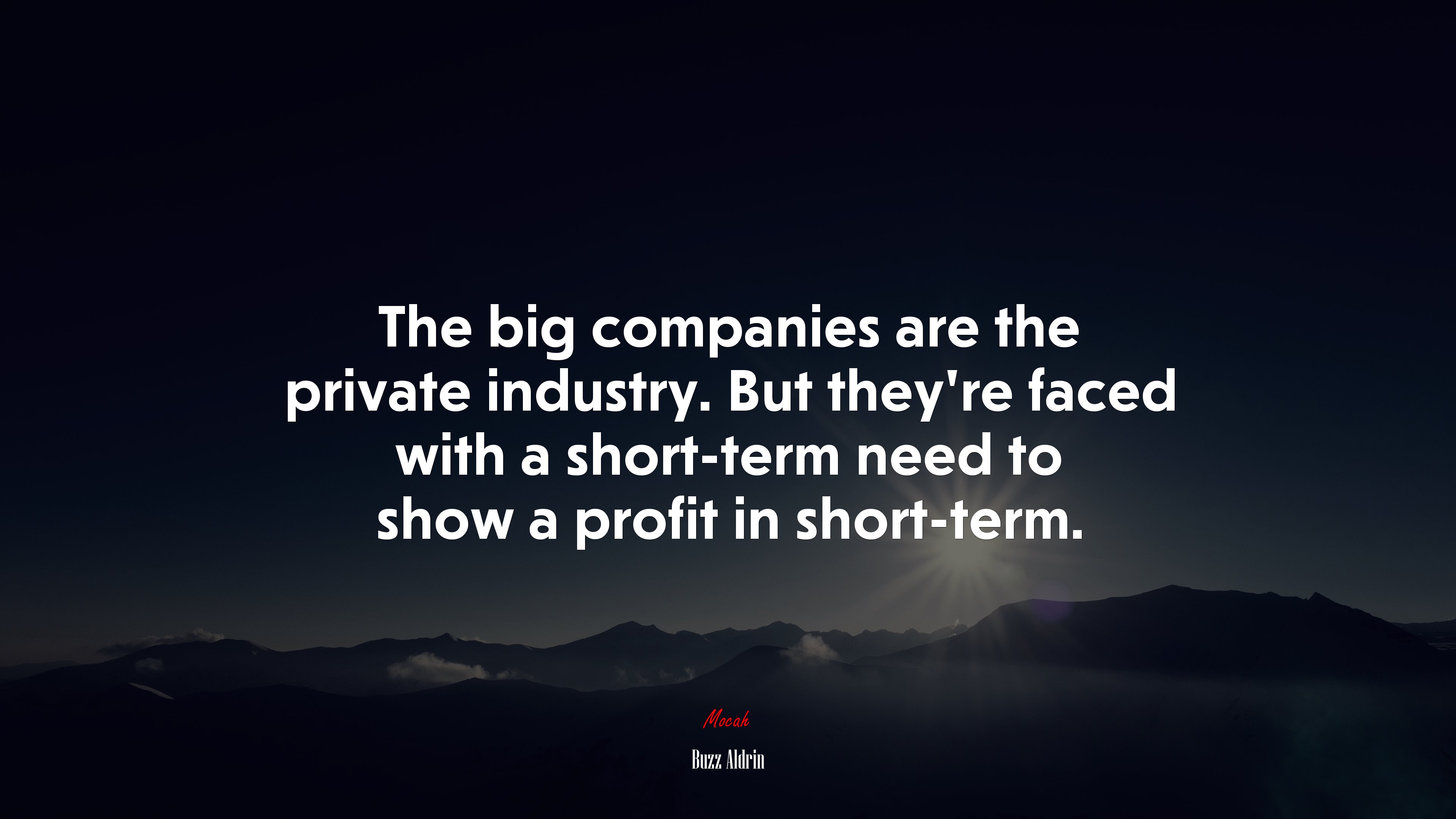 The big companies are the private industry. But they’re faced with a short-term need to show a profit in short-term. | Buzz Aldrin quote HD Wallpaper
