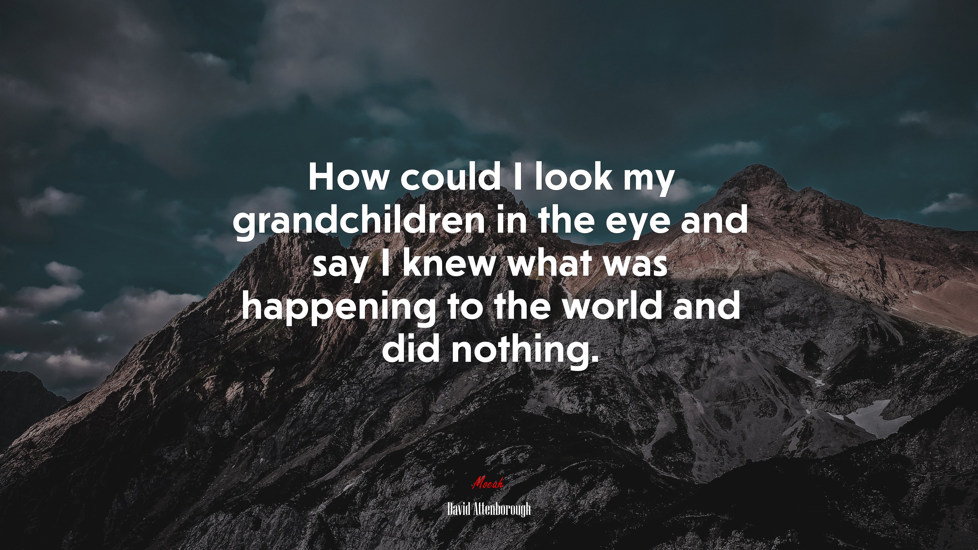 How could I look my grandchildren in the eye and say I knew what was happening to the world and did nothing. | David Attenborough quote HD Wallpaper