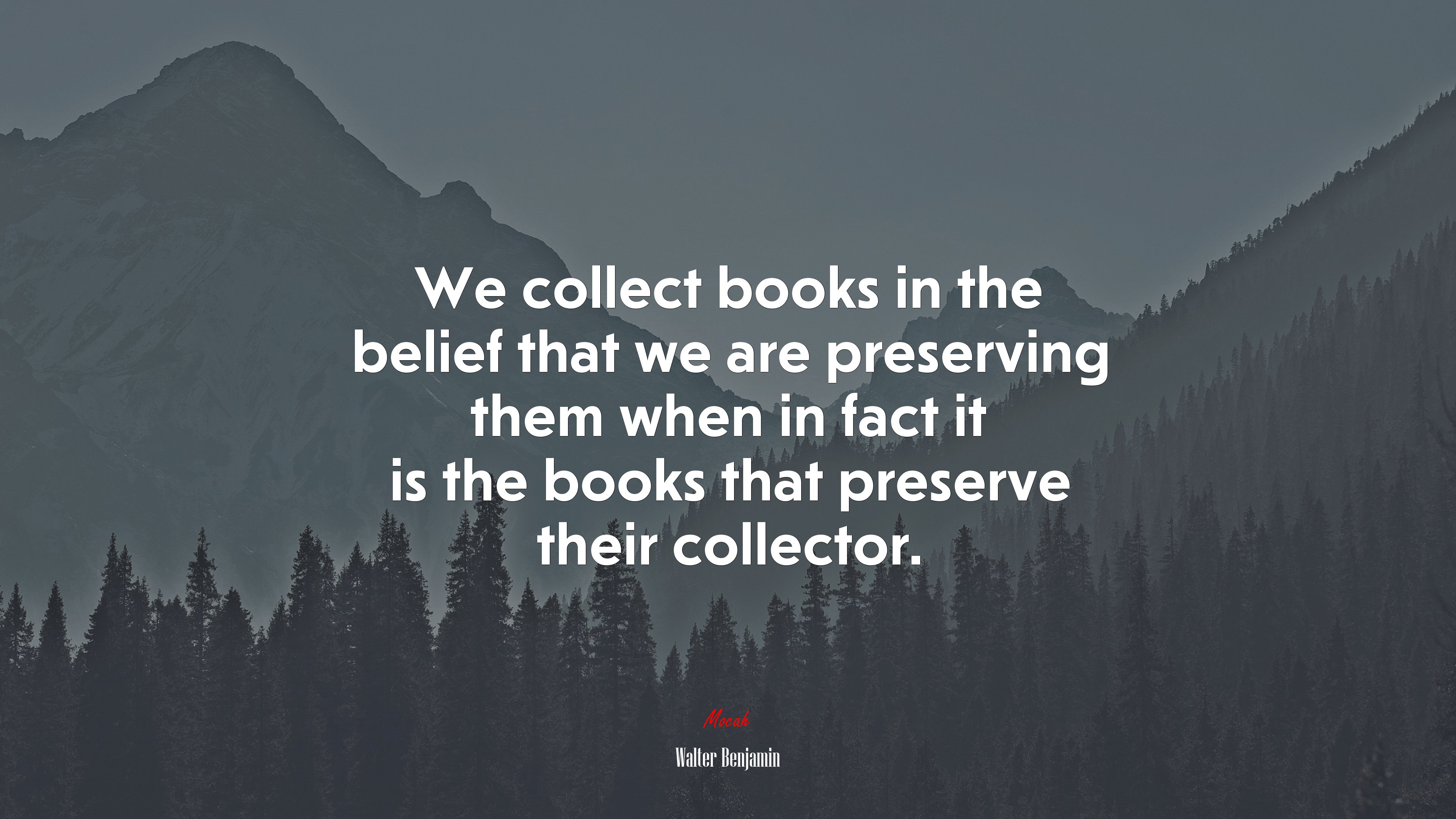We collect books in the belief that we are preserving them when in fact it is the books that preserve their collector. | Walter Benjamin quote HD Wallpaper