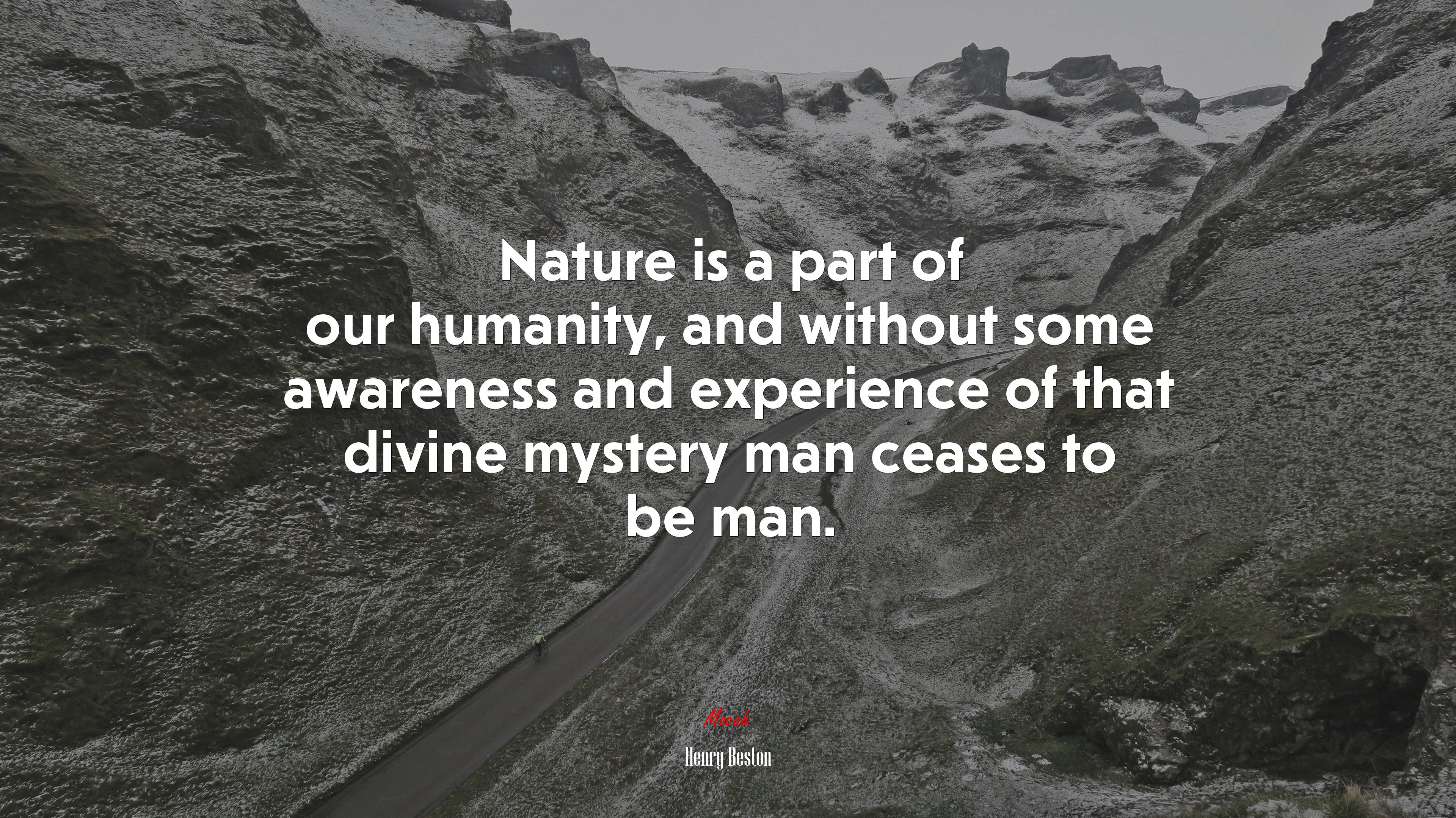 Nature is a part of our humanity, and without some awareness and experience of that divine mystery man ceases to be man. | Henry Beston quote HD Wallpaper