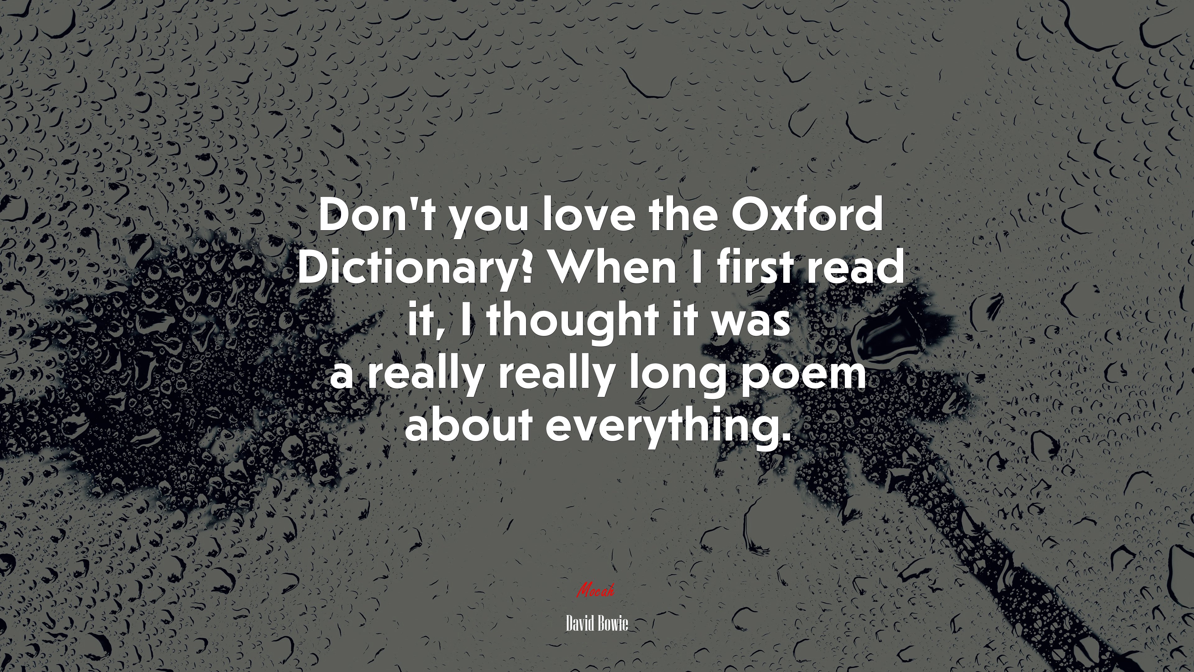 Don’t you love the Oxford Dictionary? When I first read it, I thought it was a really really long poem about everything. | David Bowie quote HD Wallpaper