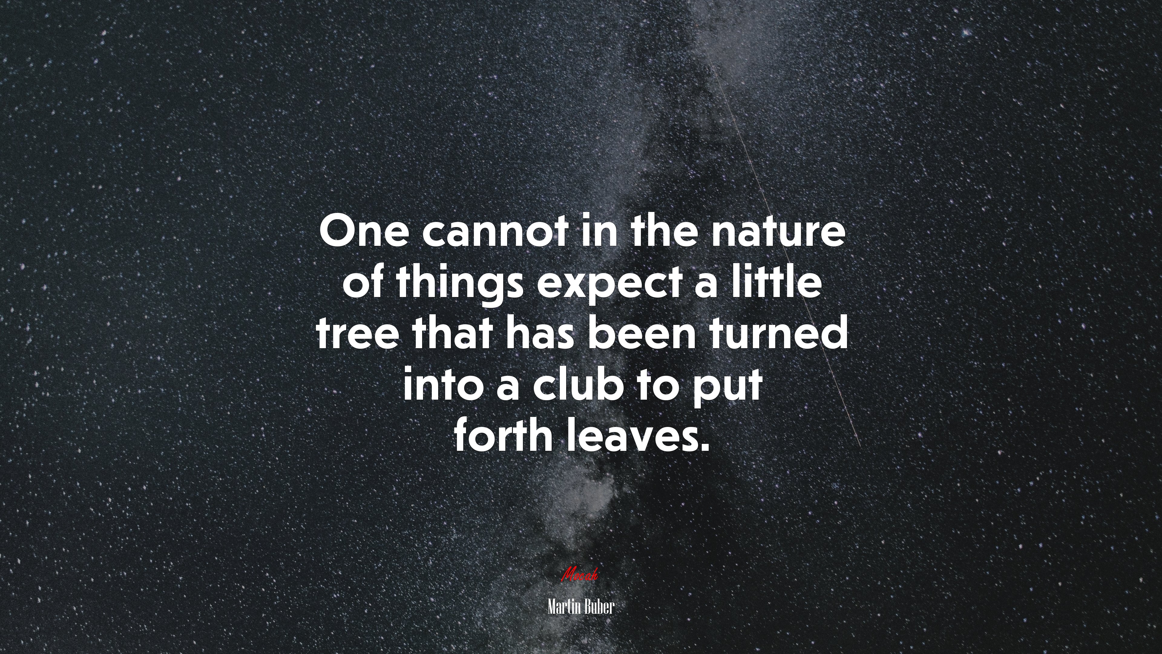 One cannot in the nature of things expect a little tree that has been turned into a club to put forth leaves. | Martin Buber quote HD Wallpaper