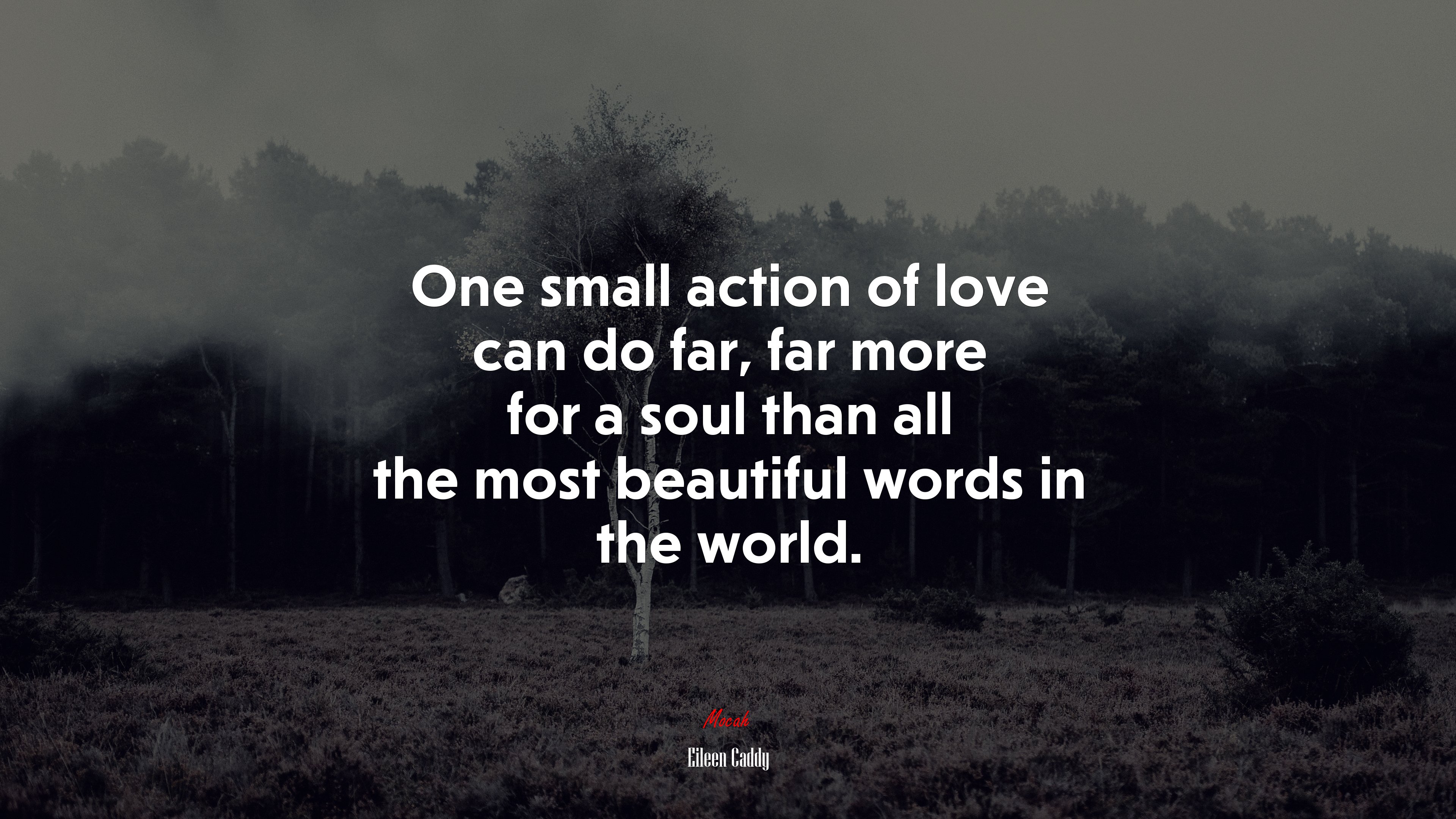 One small action of love can do far, far more for a soul than all the most beautiful words in the world. | Eileen Caddy quote HD Wallpaper