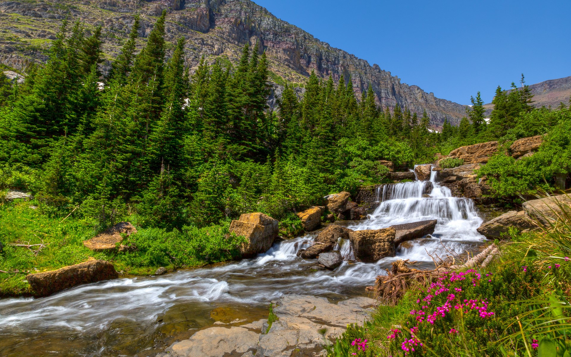 Waterfall flowing through a forest with mountains HD Wallpaper