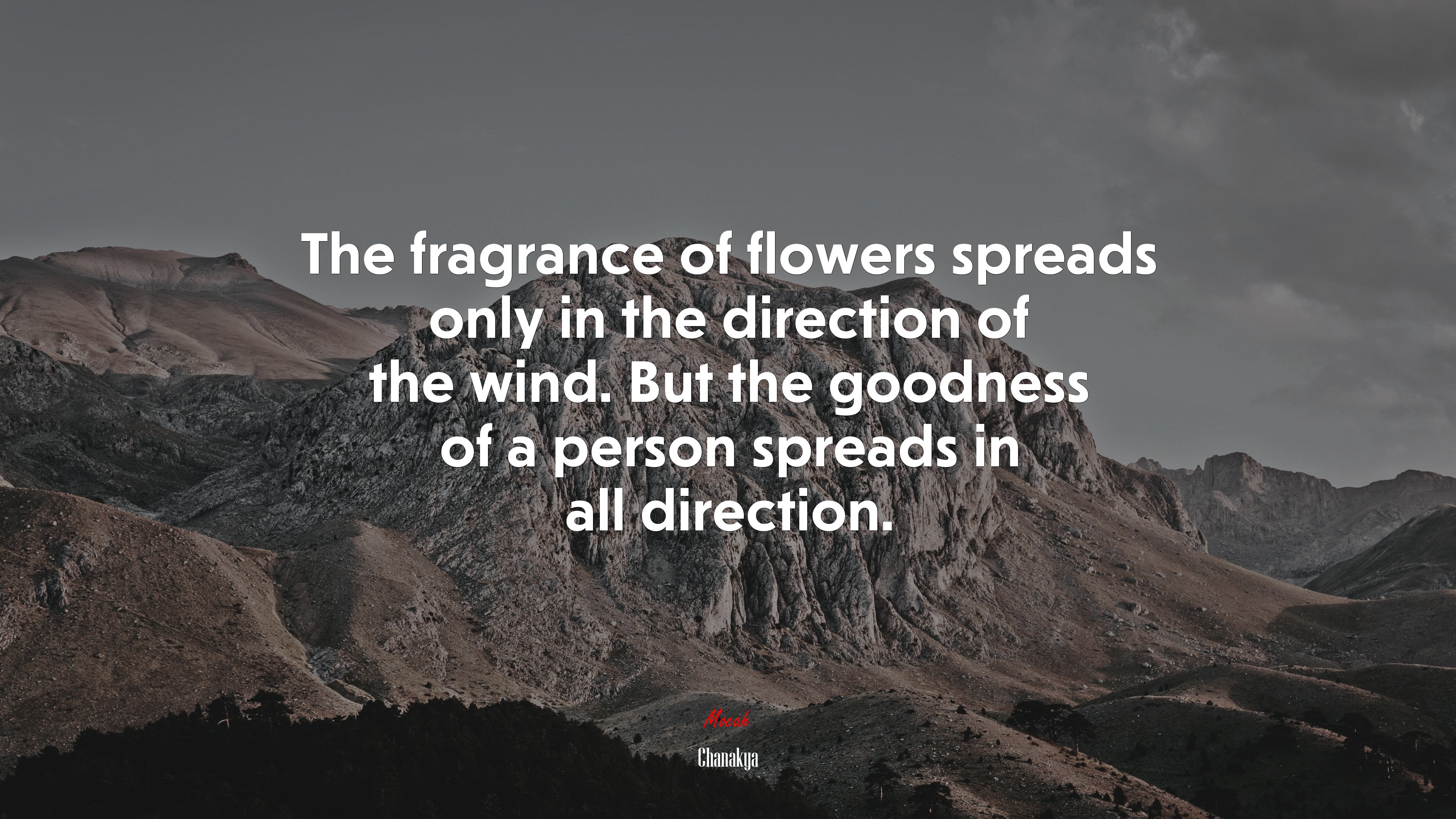 The fragrance of flowers spreads only in the direction of the wind. But the goodness of a person spreads in all direction. | Chanakya quote HD Wallpaper