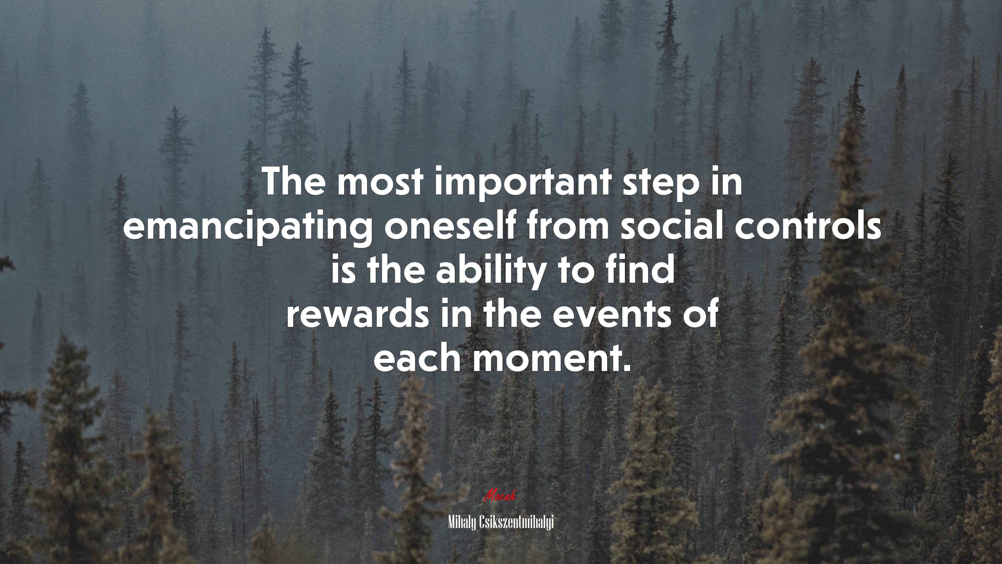 The most important step in emancipating oneself from social controls is the ability to find rewards in the events of each moment. | Mihaly Csikszentmihalyi quote HD Wallpaper