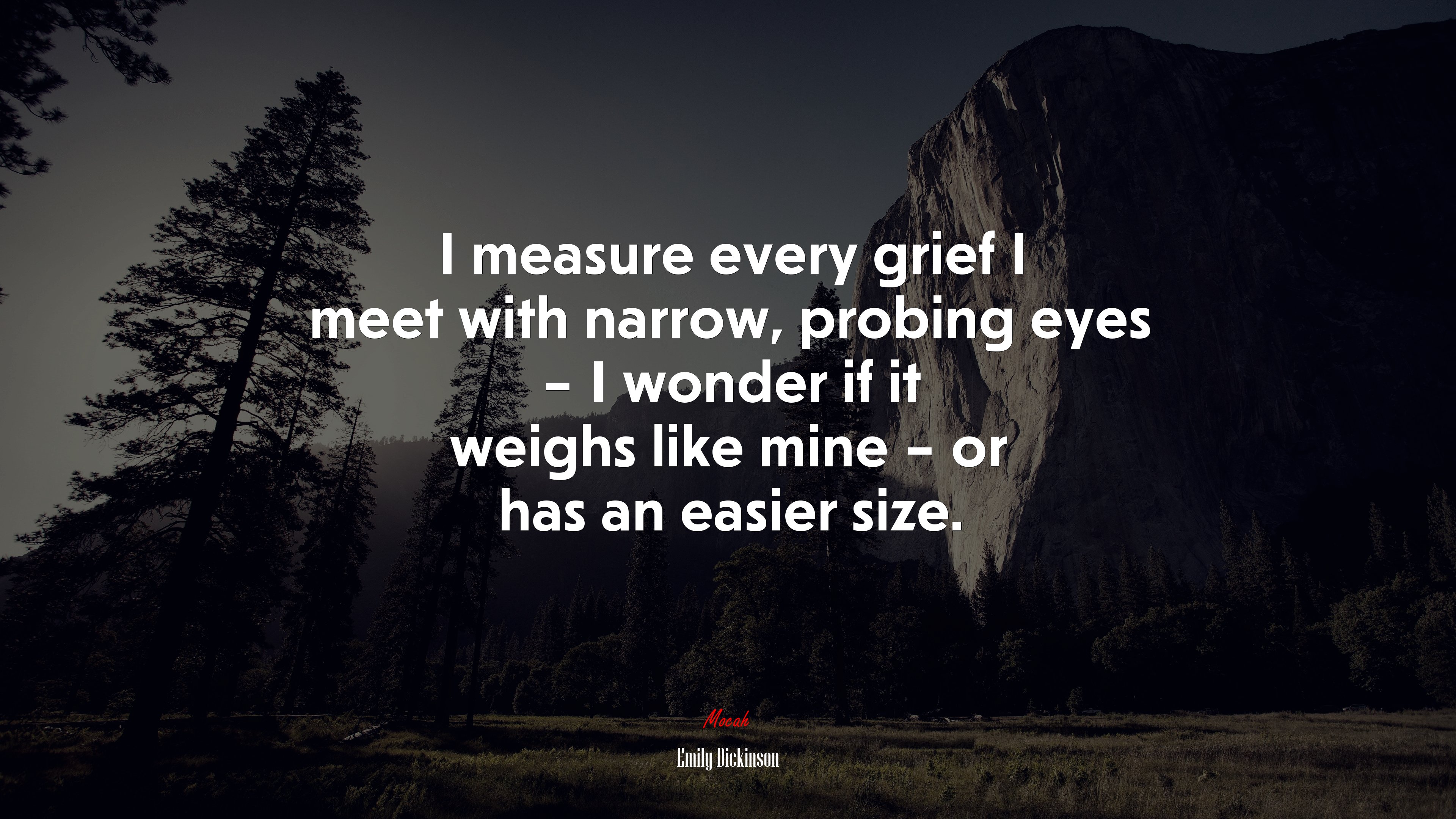 I measure every grief I meet with narrow, probing eyes – I wonder if it weighs like mine – or has an easier size. | Emily Dickinson quote HD Wallpaper