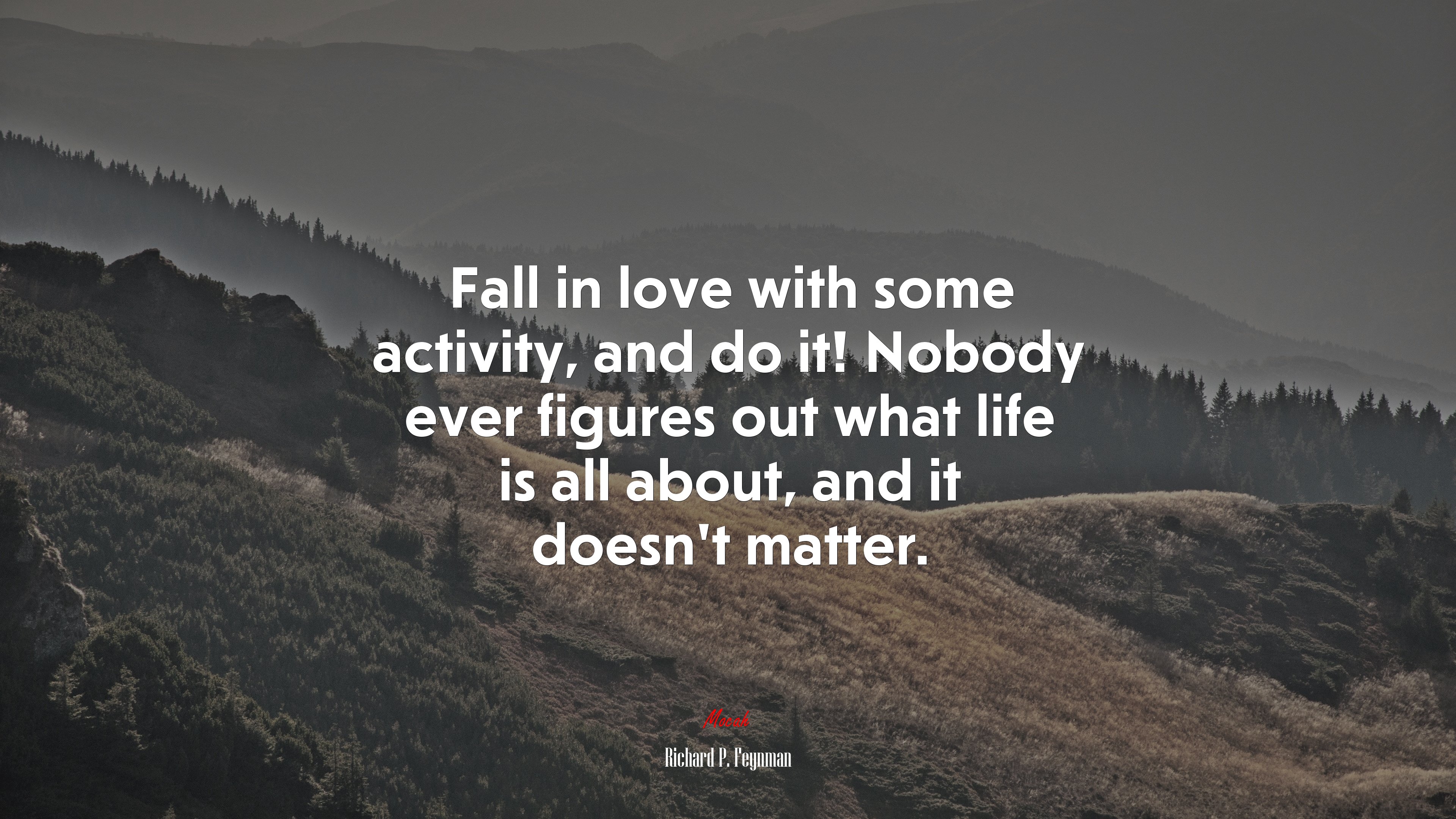Fall in love with some activity, and do it! Nobody ever figures out what life is all about, and it doesn’t matter. | Richard P. Feynman quote HD Wallpaper