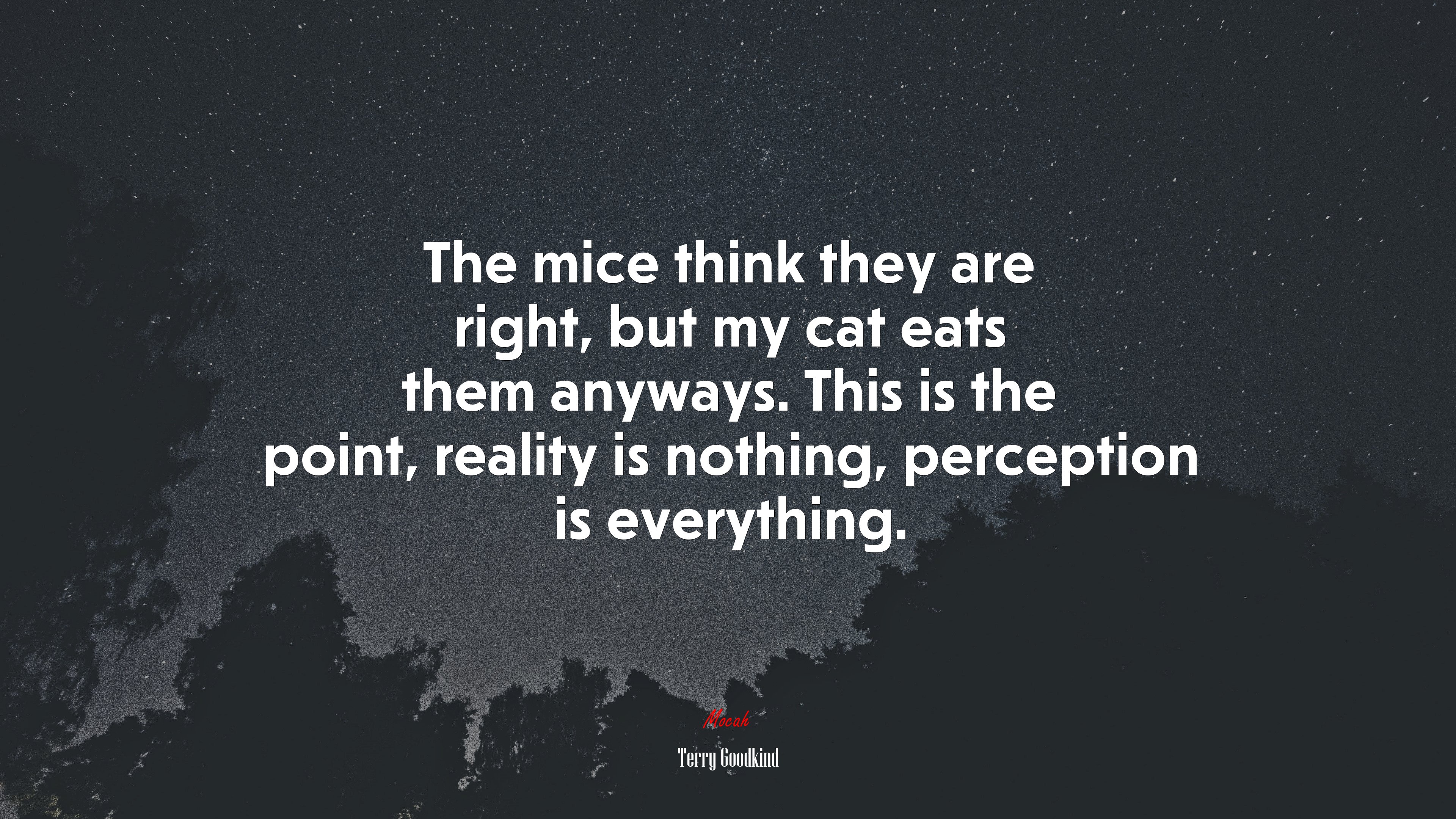 The mice think they are right, but my cat eats them anyways. This is the point, reality is nothing, perception is everything. | Terry Goodkind quote HD Wallpaper