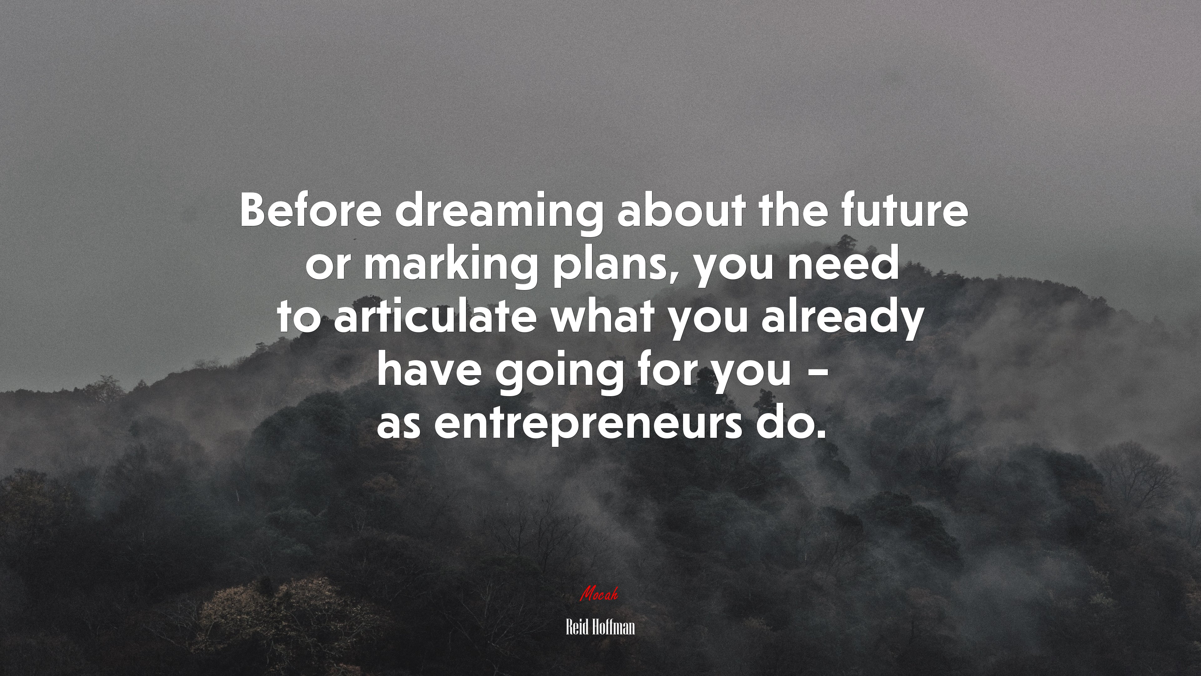 Before dreaming about the future or marking plans, you need to articulate what you already have going for you – as entrepreneurs do. | Reid Hoffman quote HD Wallpaper