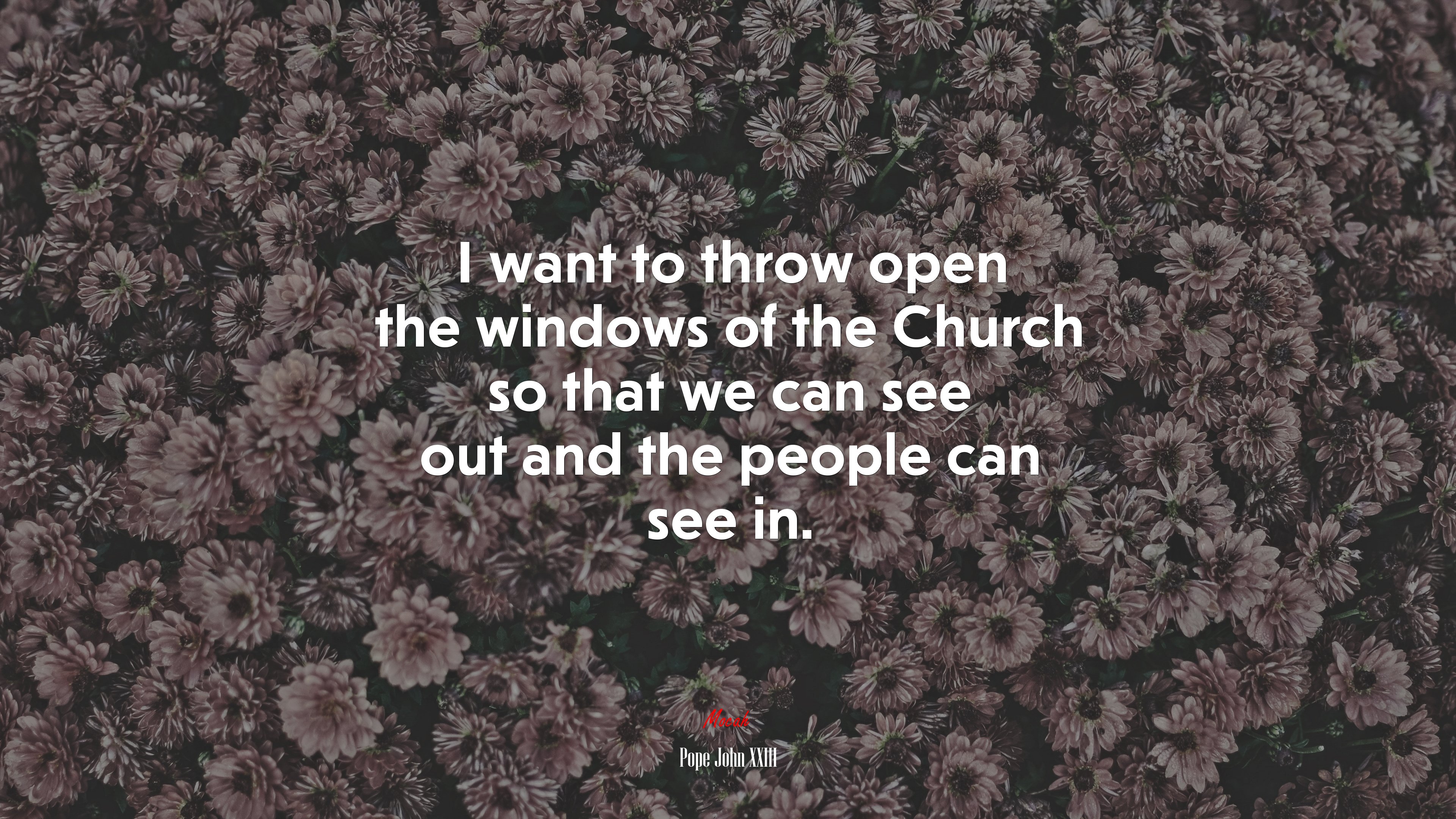 I want to throw open the windows of the Church so that we can see out and the people can see in. | Pope John XXIII quote HD Wallpaper