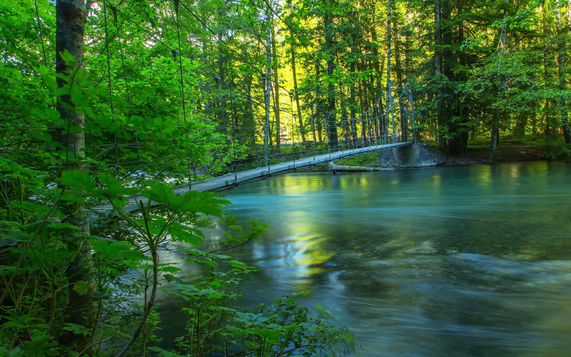Suspension bridge over a flowing river in a forest HD Wallpaper