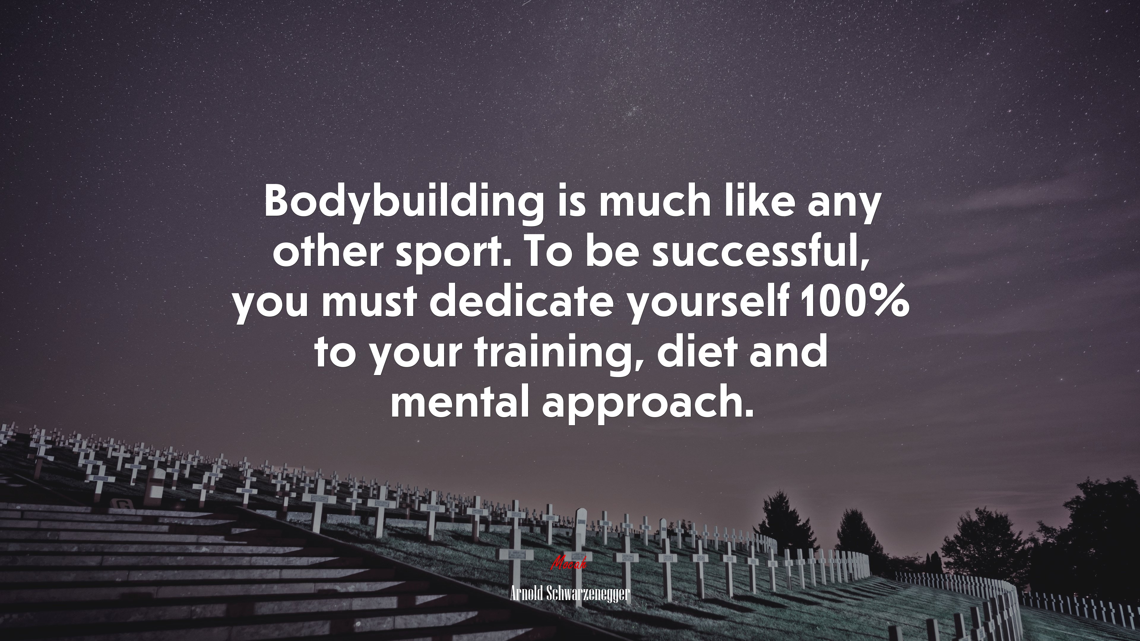 Bodybuilding is much like any other sport. To be successful, you must dedicate yourself 100% to your training, diet and mental approach. | Arnold Schwarzenegger quote HD Wallpaper