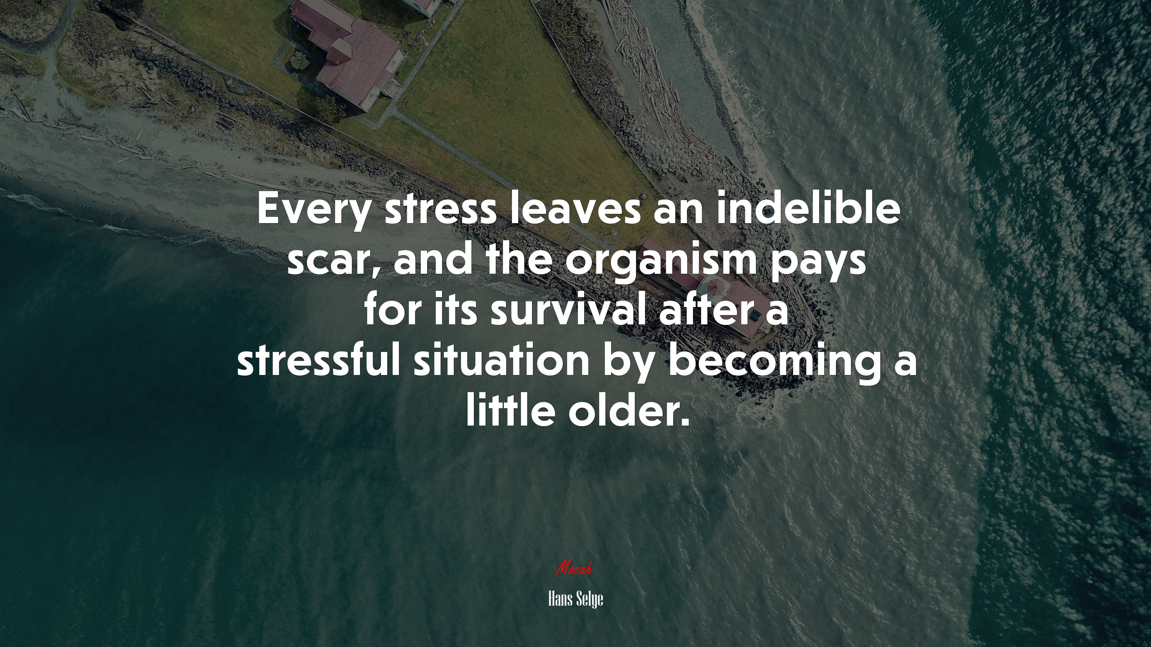 Every stress leaves an indelible scar, and the organism pays for its survival after a stressful situation by becoming a little older. | Hans Selye quote HD Wallpaper