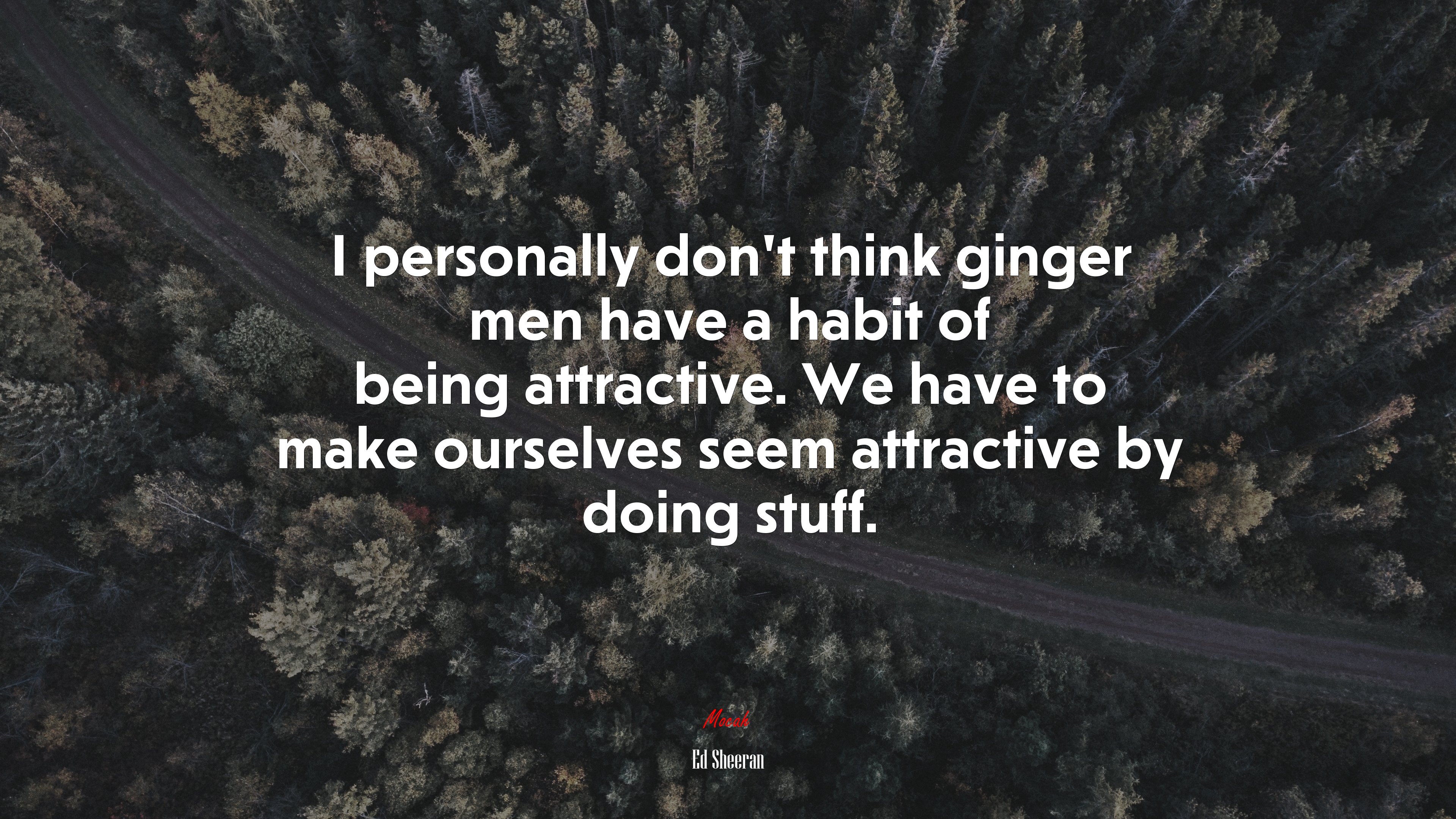I personally don’t think ginger men have a habit of being attractive. We have to make ourselves seem attractive by doing stuff. | Ed Sheeran quote HD Wallpaper