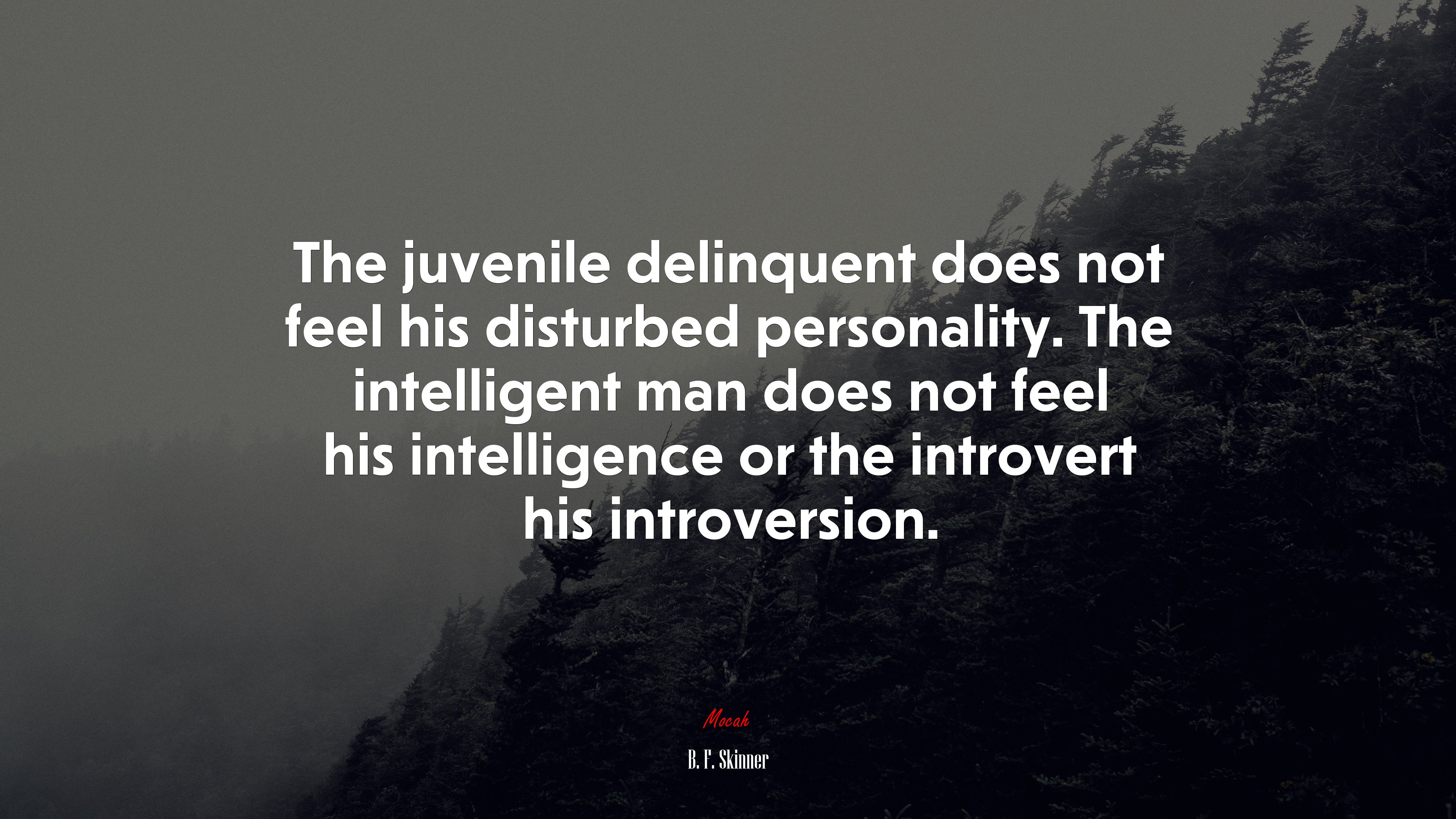 The juvenile delinquent does not feel his disturbed personality. The intelligent man does not feel his intelligence or the introvert his introversion. | B. F. Skinner quote HD Wallpaper