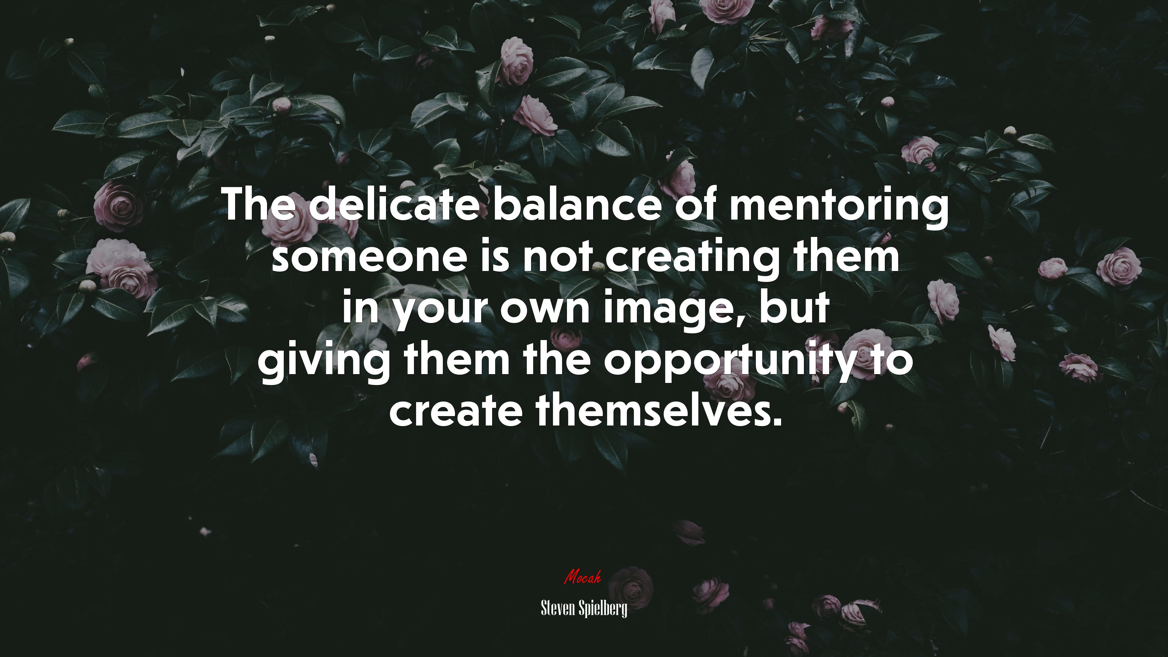 The delicate balance of mentoring someone is not creating them in your own image, but giving them the opportunity to create themselves. | Steven Spielberg quote HD Wallpaper