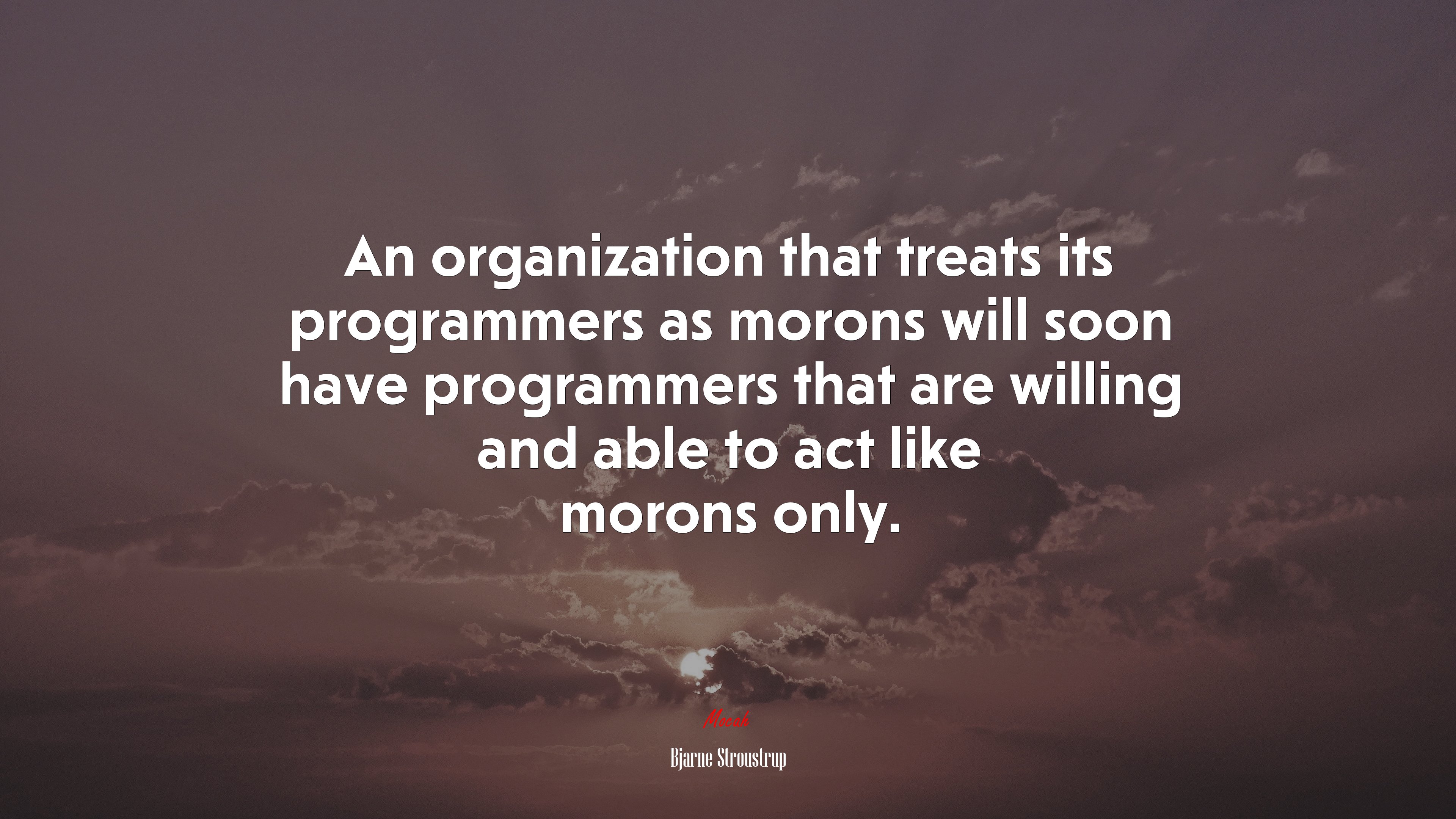 An organization that treats its programmers as morons will soon have programmers that are willing and able to act like morons only. | Bjarne Stroustrup quote HD Wallpaper