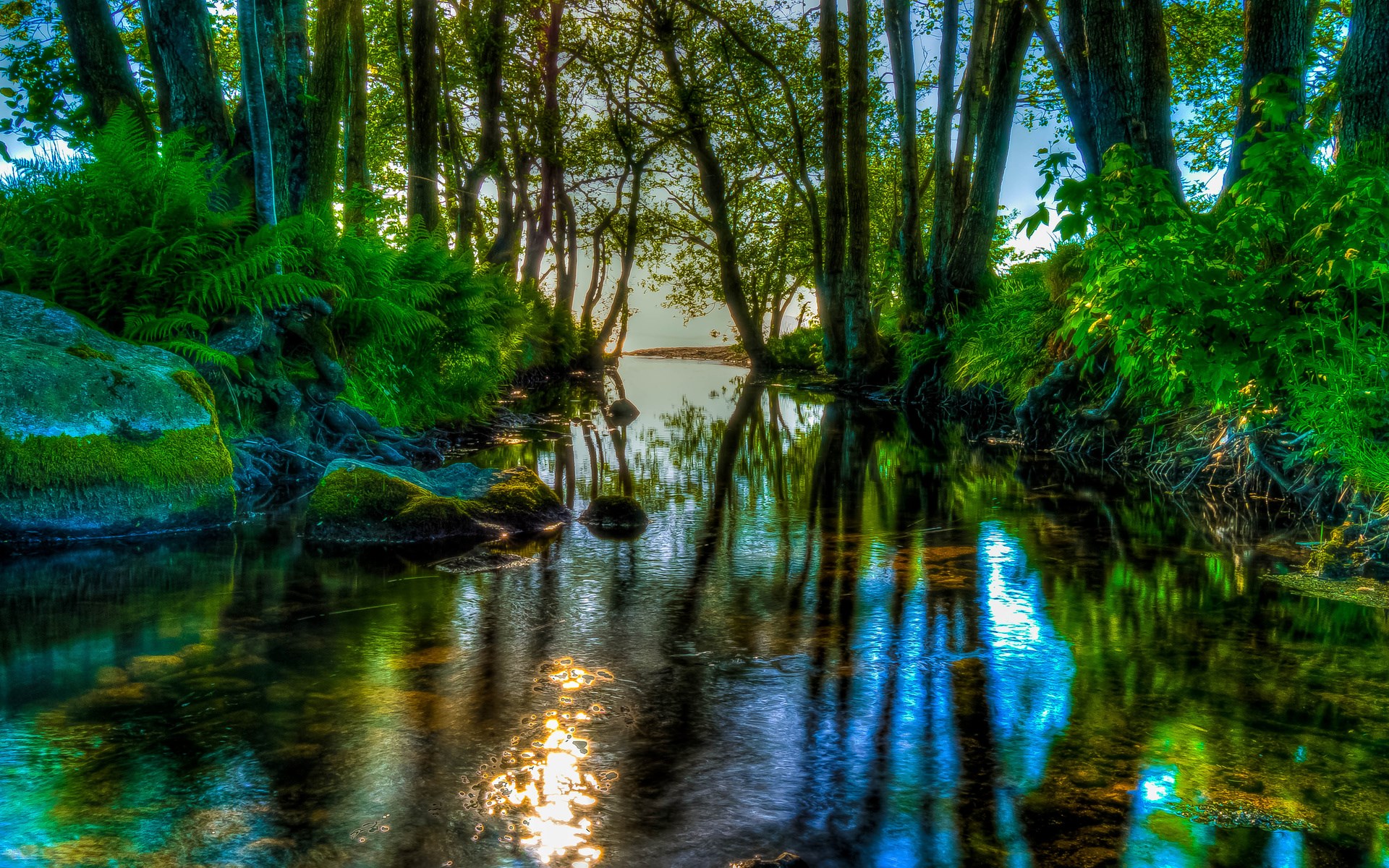 A forest stream with reflections of trees and sky HD Wallpaper