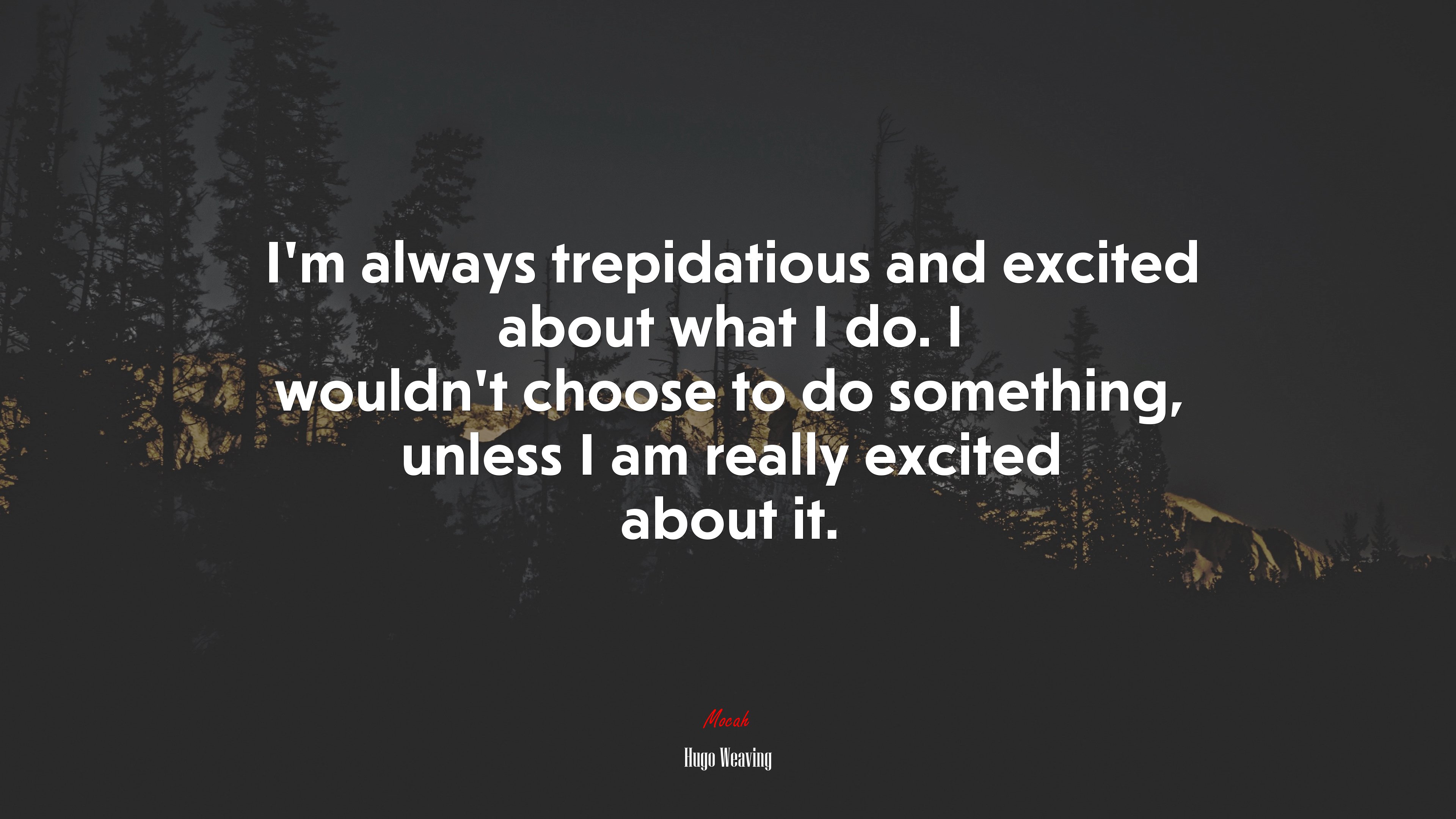 I’m always trepidatious and excited about what I do. I wouldn’t choose to do something, unless I am really excited about it. | Hugo Weaving quote HD Wallpaper