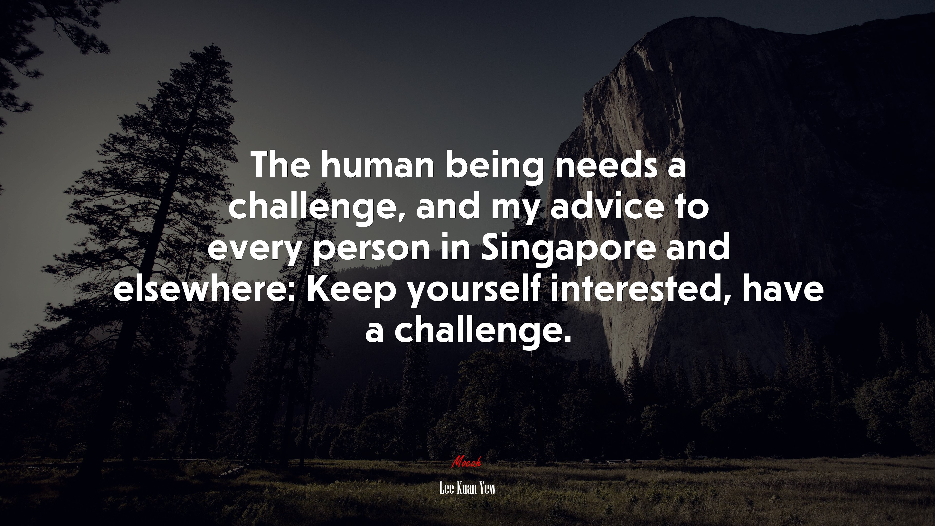 The human being needs a challenge, and my advice to every person in Singapore and elsewhere: Keep yourself interested, have a challenge. | Lee Kuan Yew quote HD Wallpaper