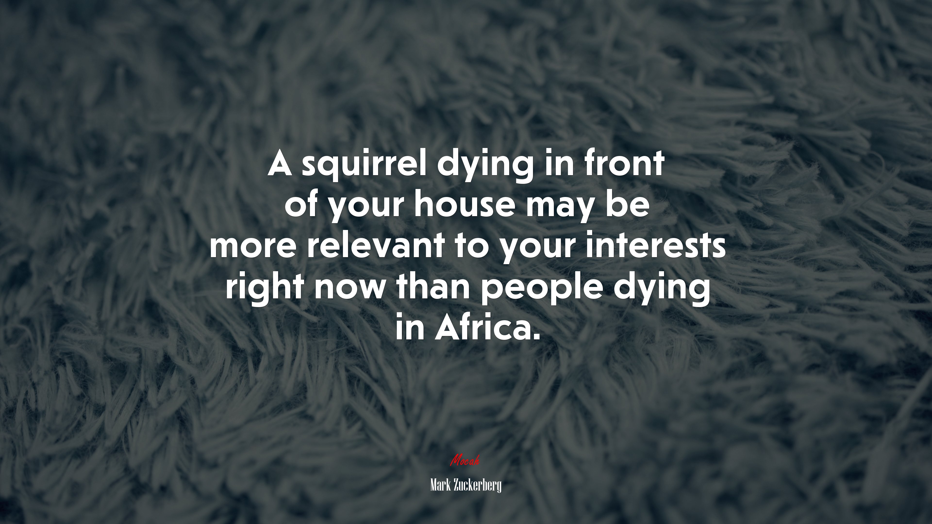 A squirrel dying in front of your house may be more relevant to your interests right now than people dying in Africa. | Mark Zuckerberg quote HD Wallpaper