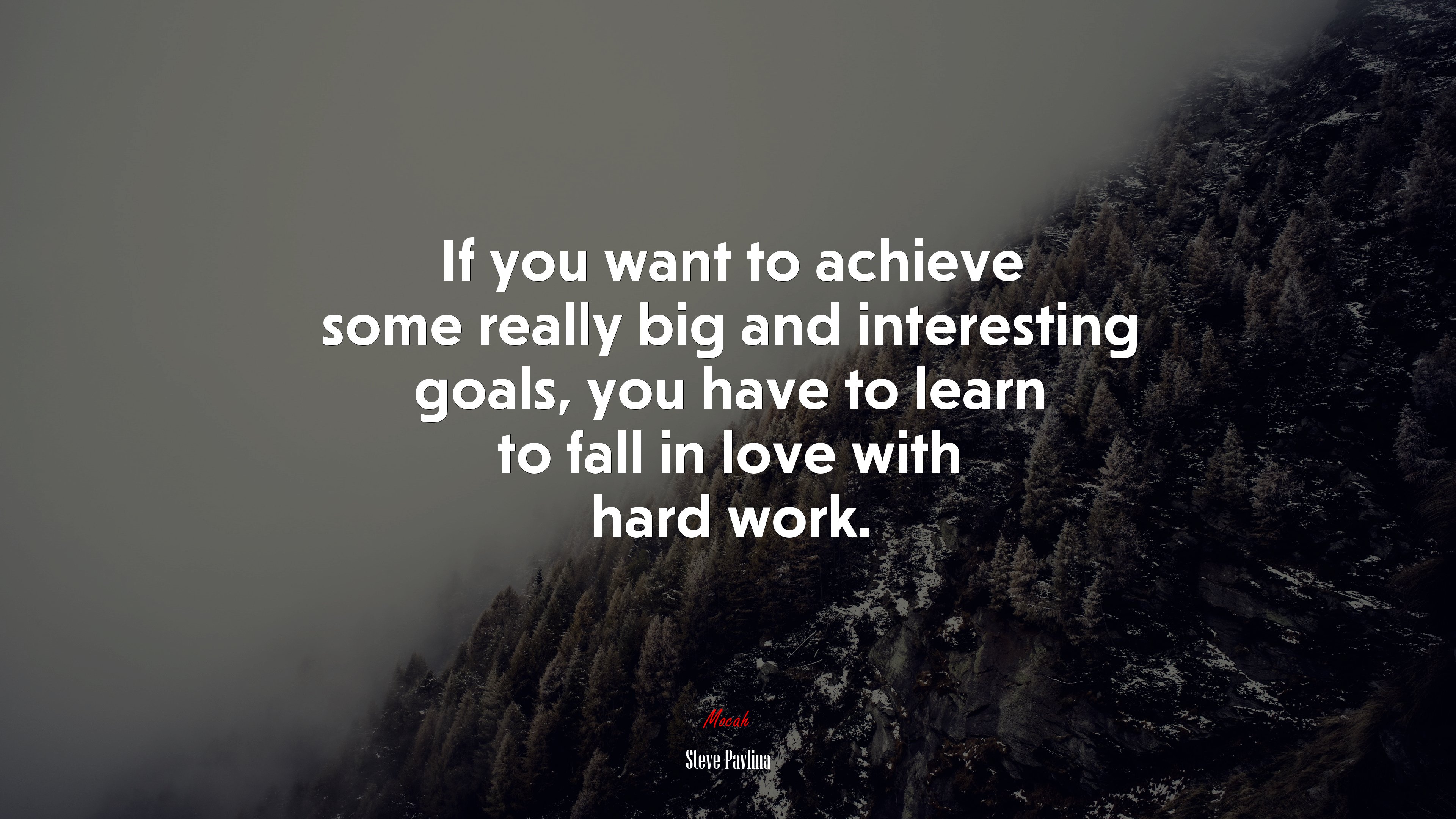 If you want to achieve some really big and interesting goals, you have to learn to fall in love with hard work. | Steve Pavlina quote HD Wallpaper