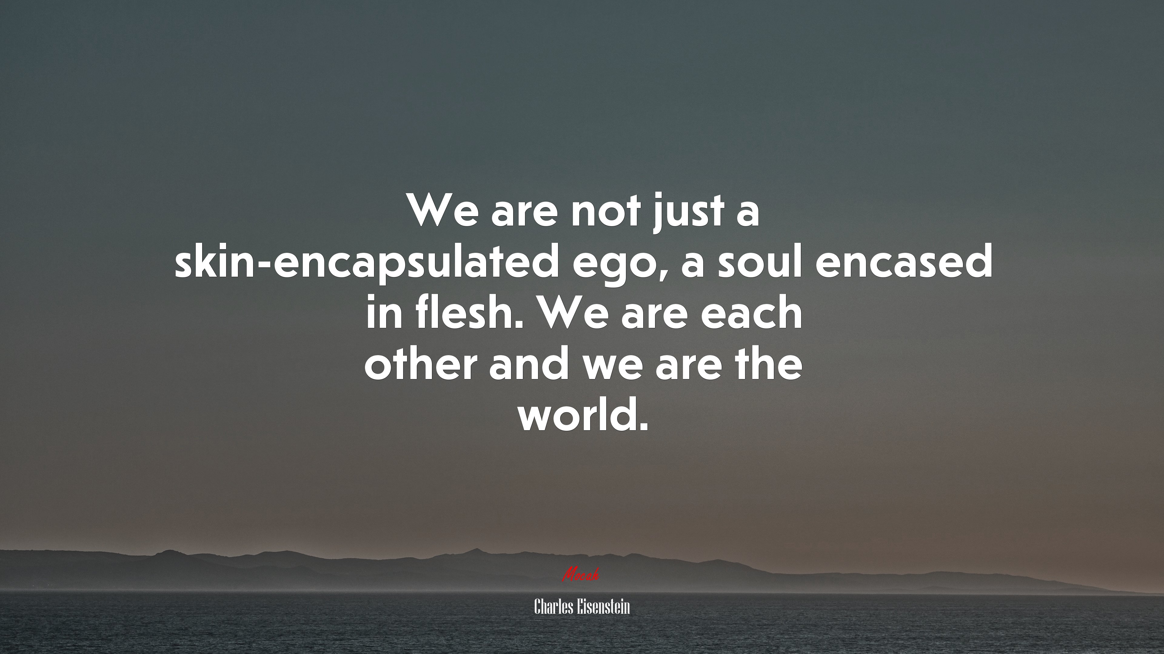 We are not just a skin-encapsulated ego, a soul encased in flesh. We are each other and we are the world. | Charles Eisenstein quote HD Wallpaper
