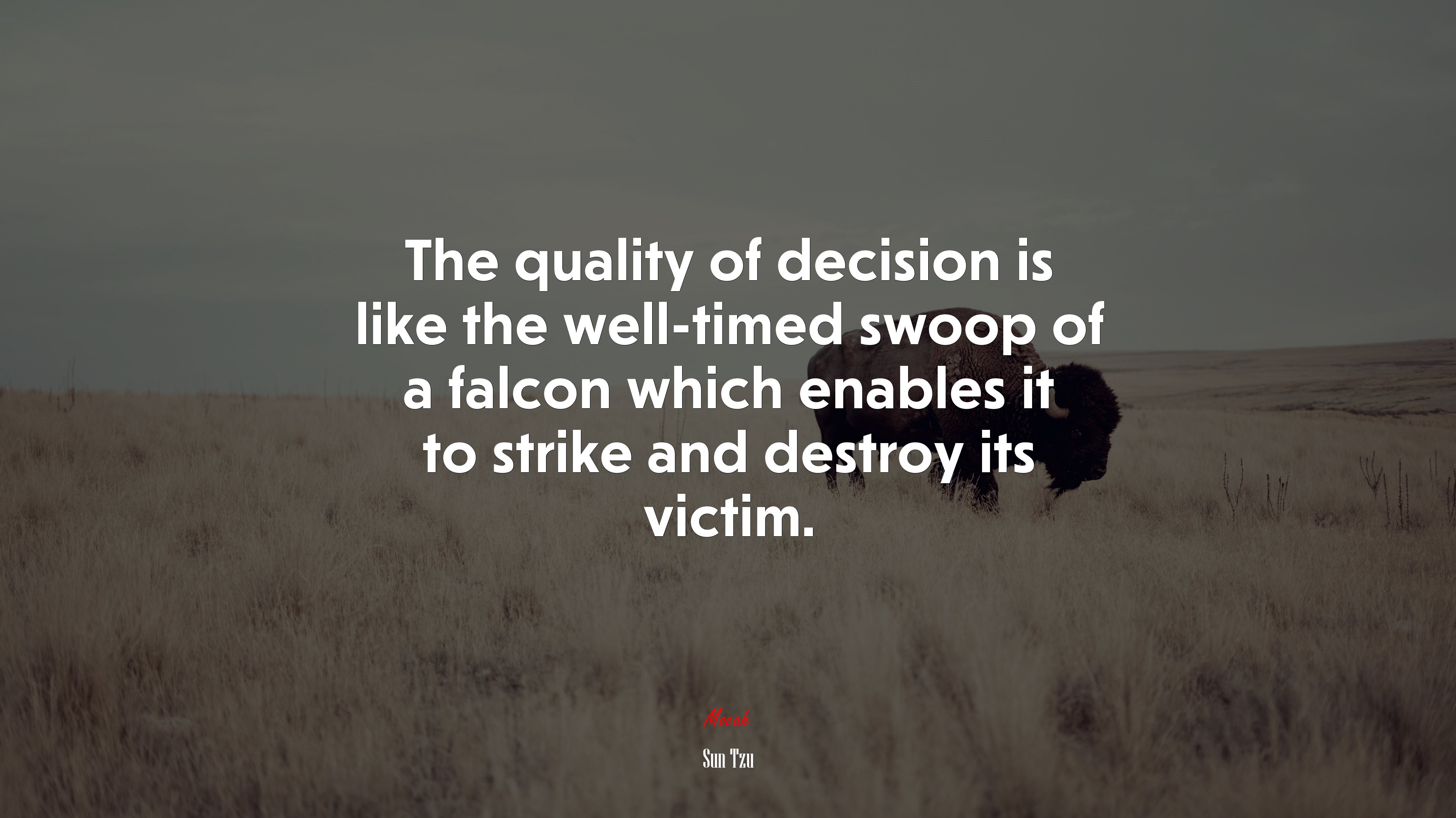 The quality of decision is like the well-timed swoop of a falcon which enables it to strike and destroy its victim. | Sun Tzu quote HD Wallpaper