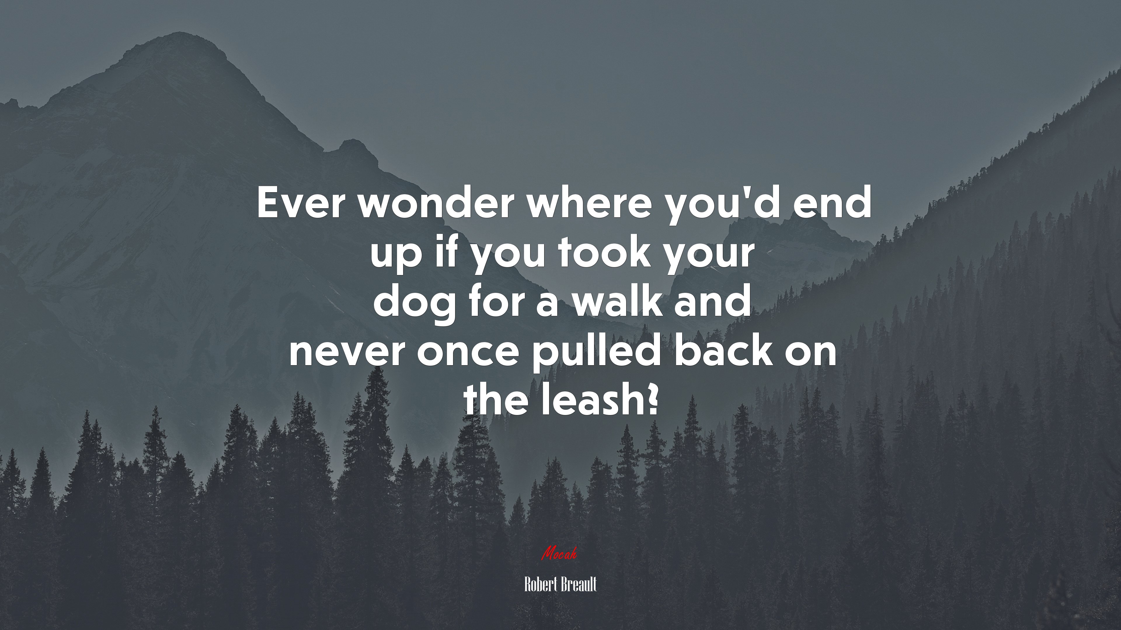 Ever wonder where you’d end up if you took your dog for a walk and never once pulled back on the leash? | Robert Breault quote HD Wallpaper