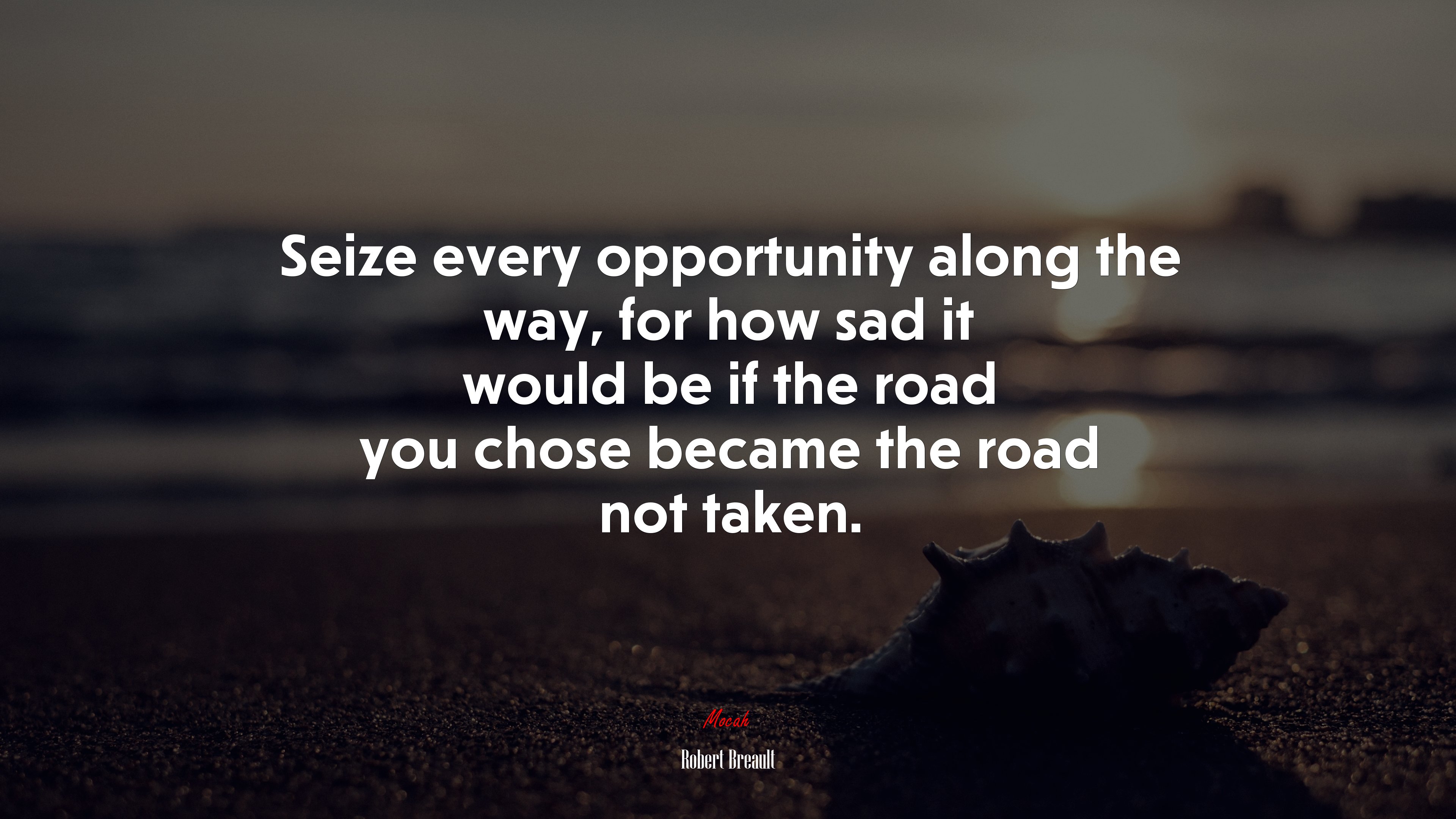 Seize every opportunity along the way, for how sad it would be if the road you chose became the road not taken. | Robert Breault quote HD Wallpaper