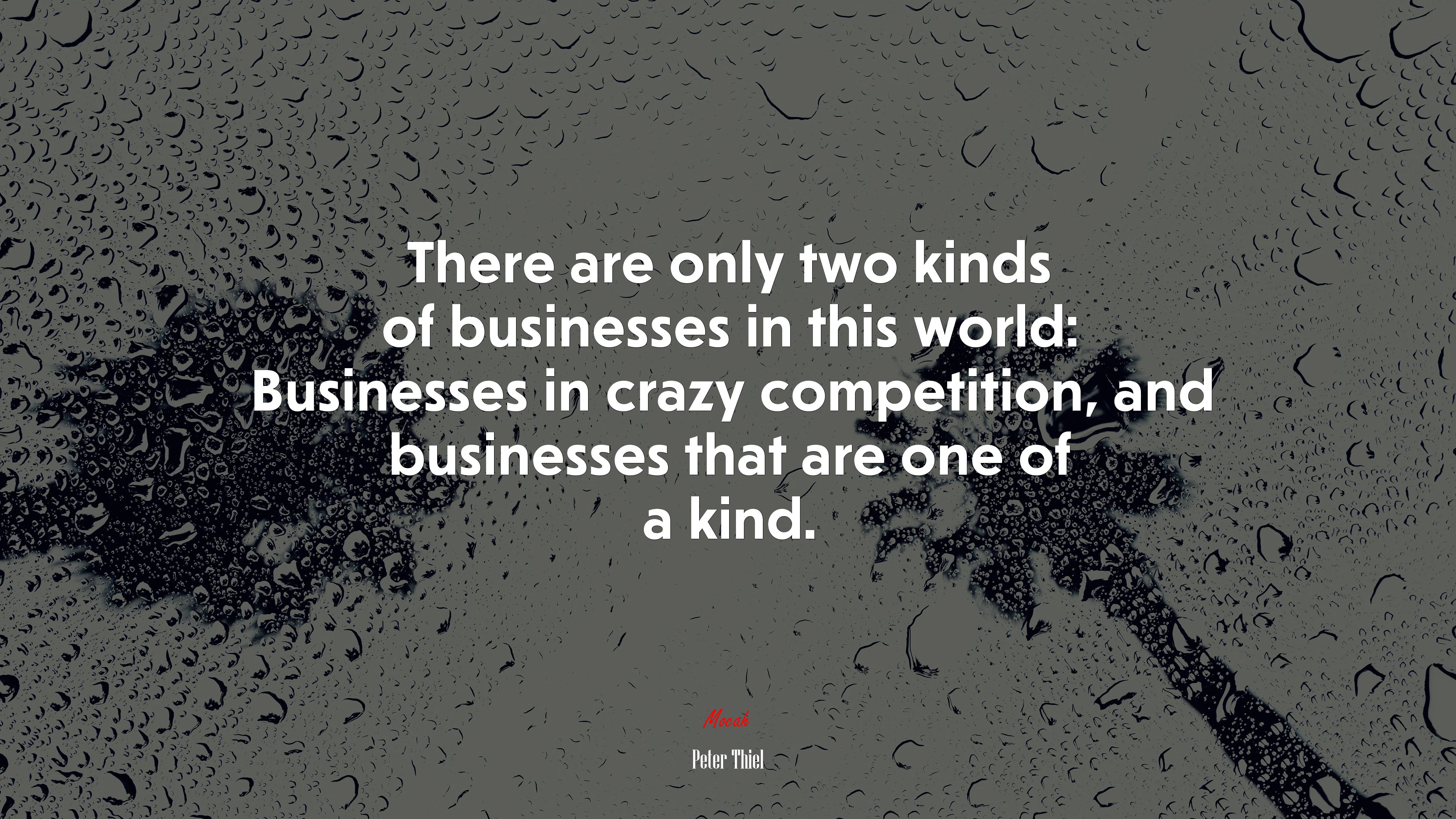 There are only two kinds of businesses in this world: Businesses in crazy competition, and businesses that are one of a kind. | Peter Thiel quote HD Wallpaper