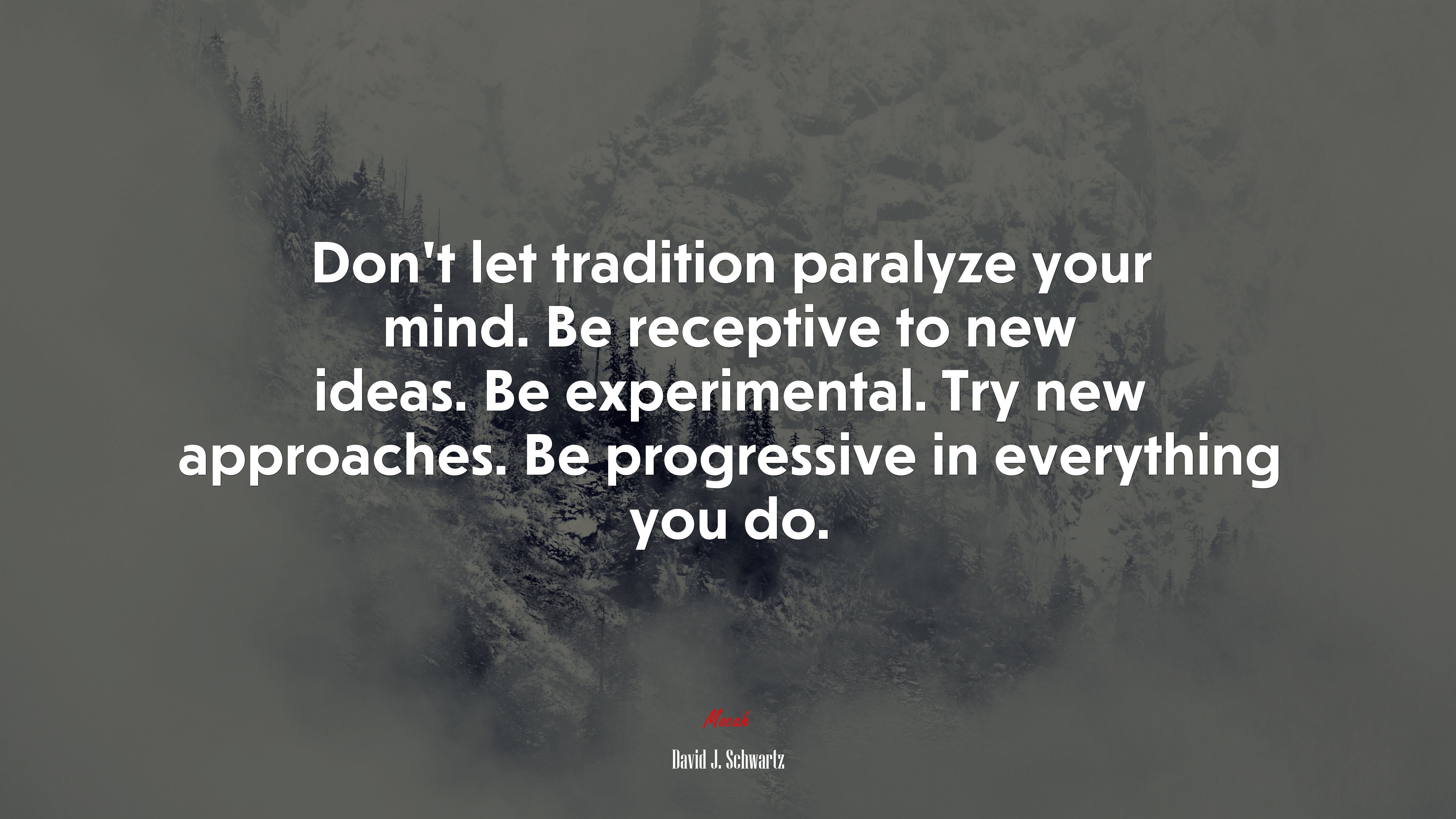 Don’t let tradition paralyze your mind. Be receptive to new ideas. Be experimental. Try new approaches. Be progressive in everything you do. | David J. Schwartz quote HD Wallpaper