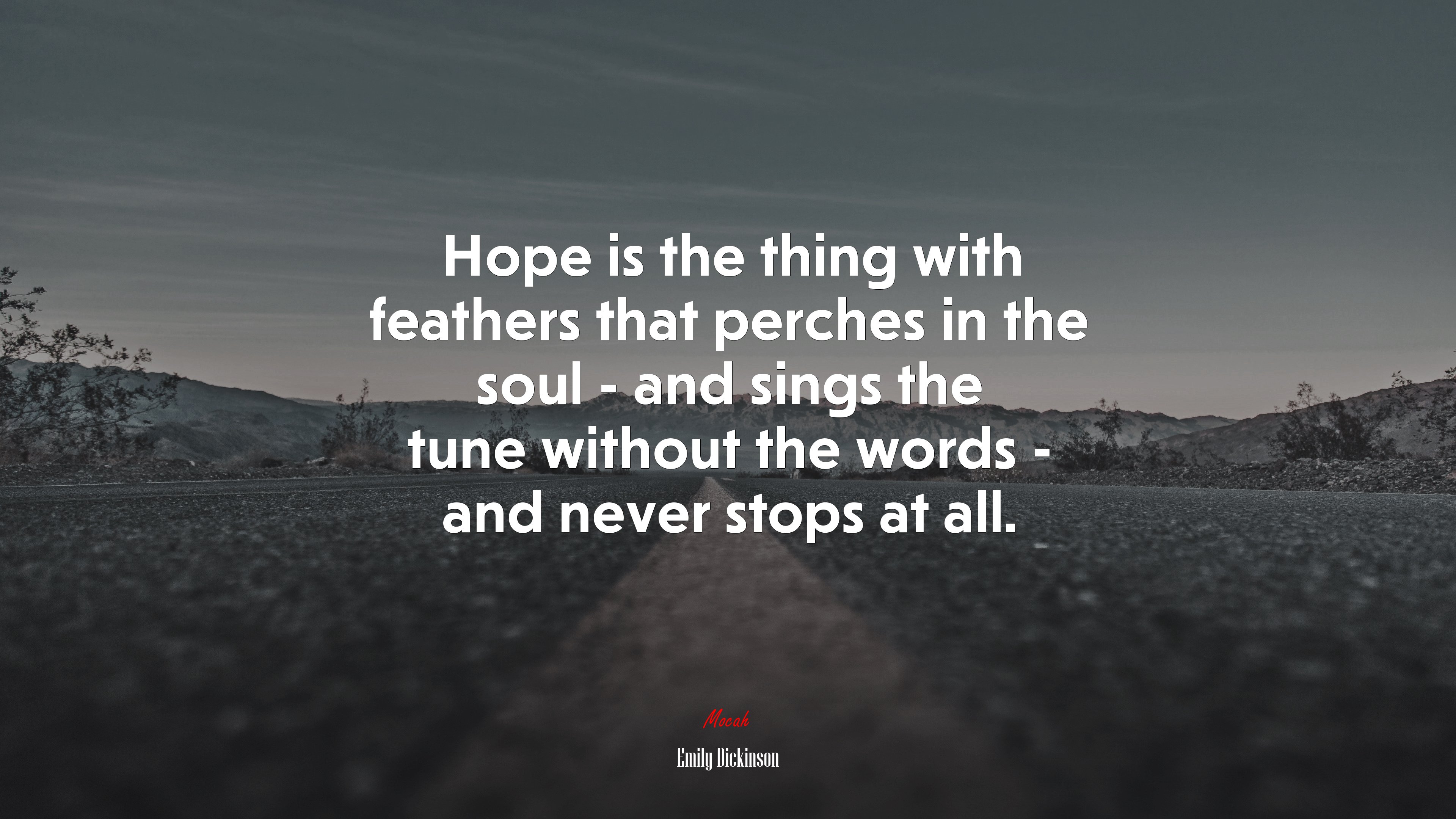 Hope is the thing with feathers that perches in the soul - and sings the tune without the words - and never stops at all. | Emily Dickinson quote HD Wallpaper