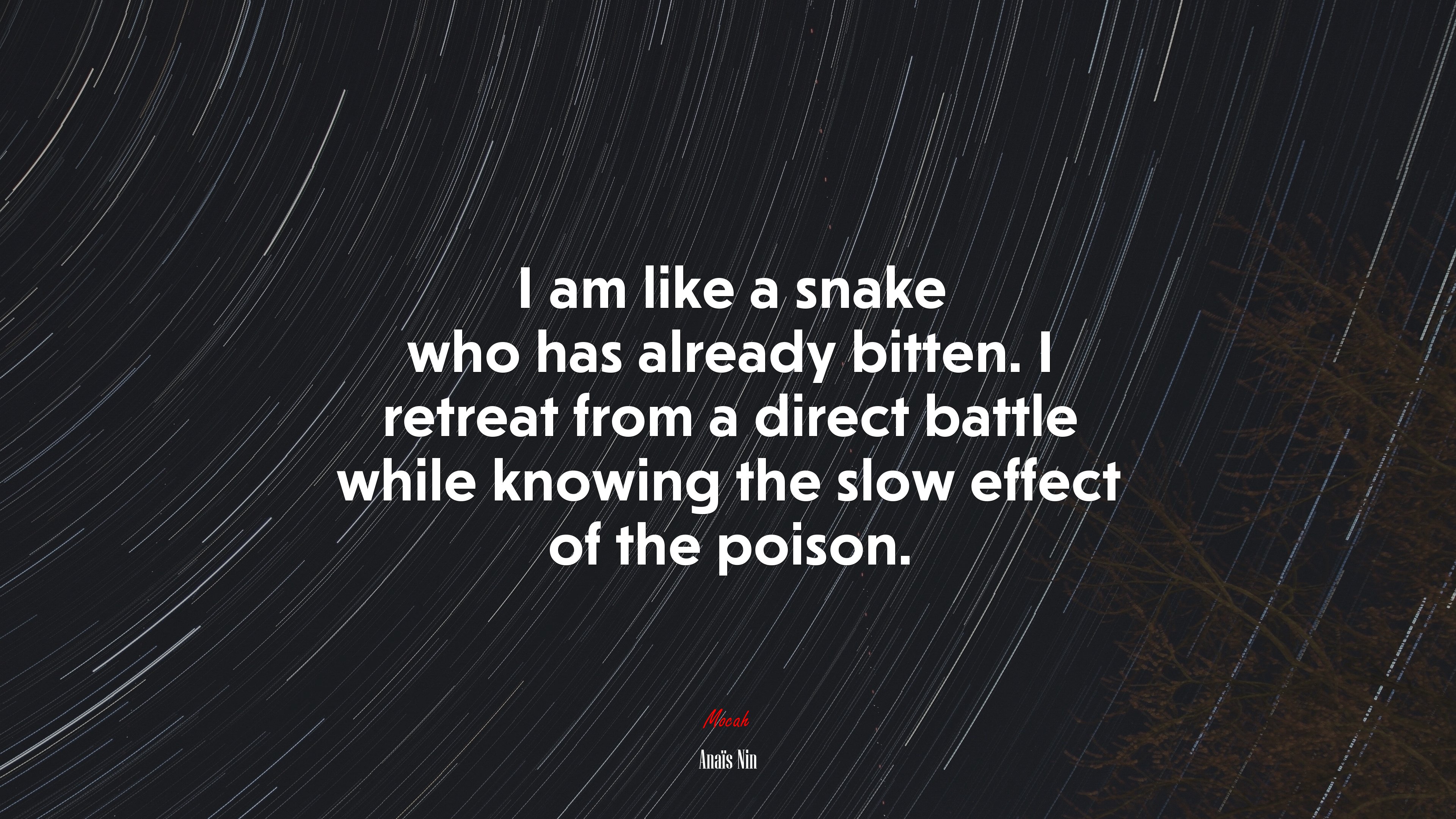 I am like a snake who has already bitten. I retreat from a direct battle while knowing the slow effect of the poison. | Anaïs Nin quote HD Wallpaper