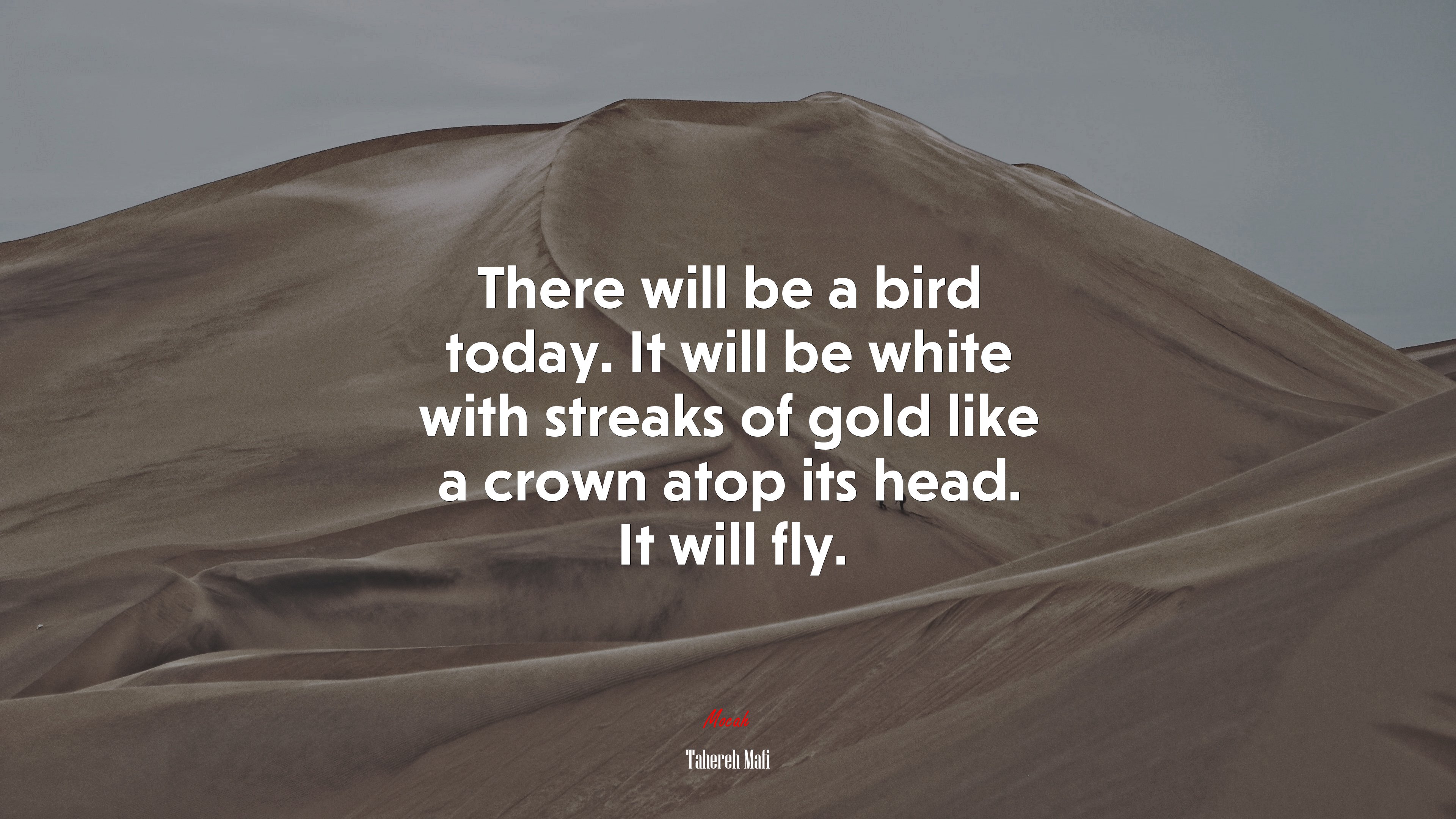 There will be a bird today. It will be white with streaks of gold like a crown atop its head. It will fly. | Tahereh Mafi quote HD Wallpaper