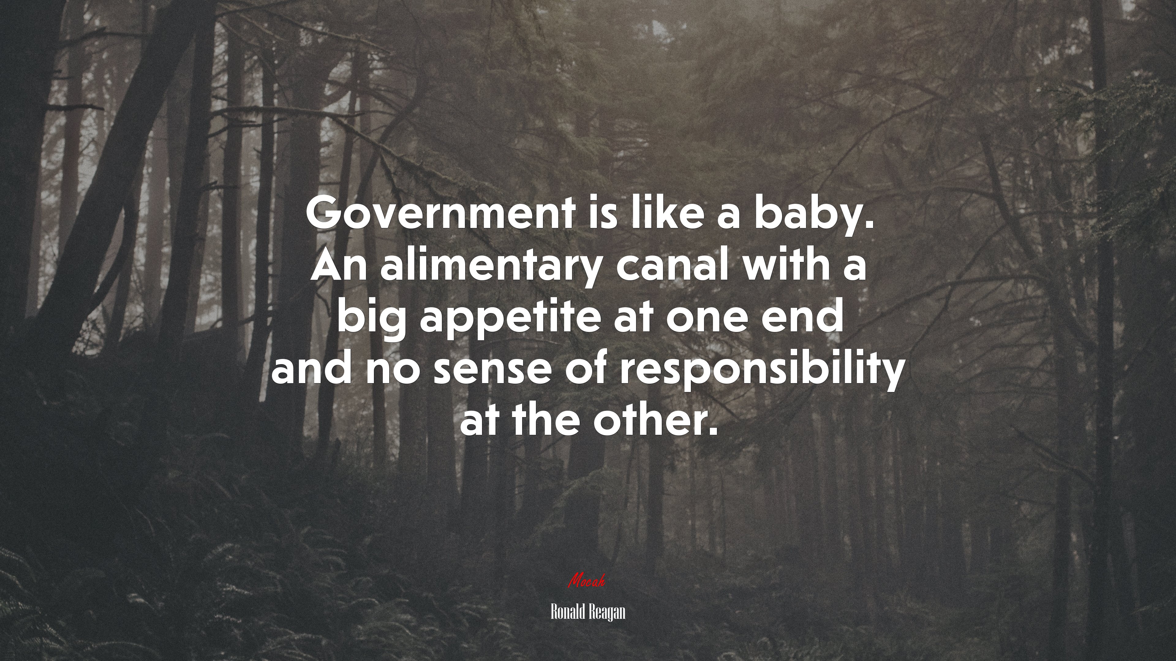 Government is like a baby. An alimentary canal with a big appetite at one end and no sense of responsibility at the other. | Ronald Reagan quote HD Wallpaper