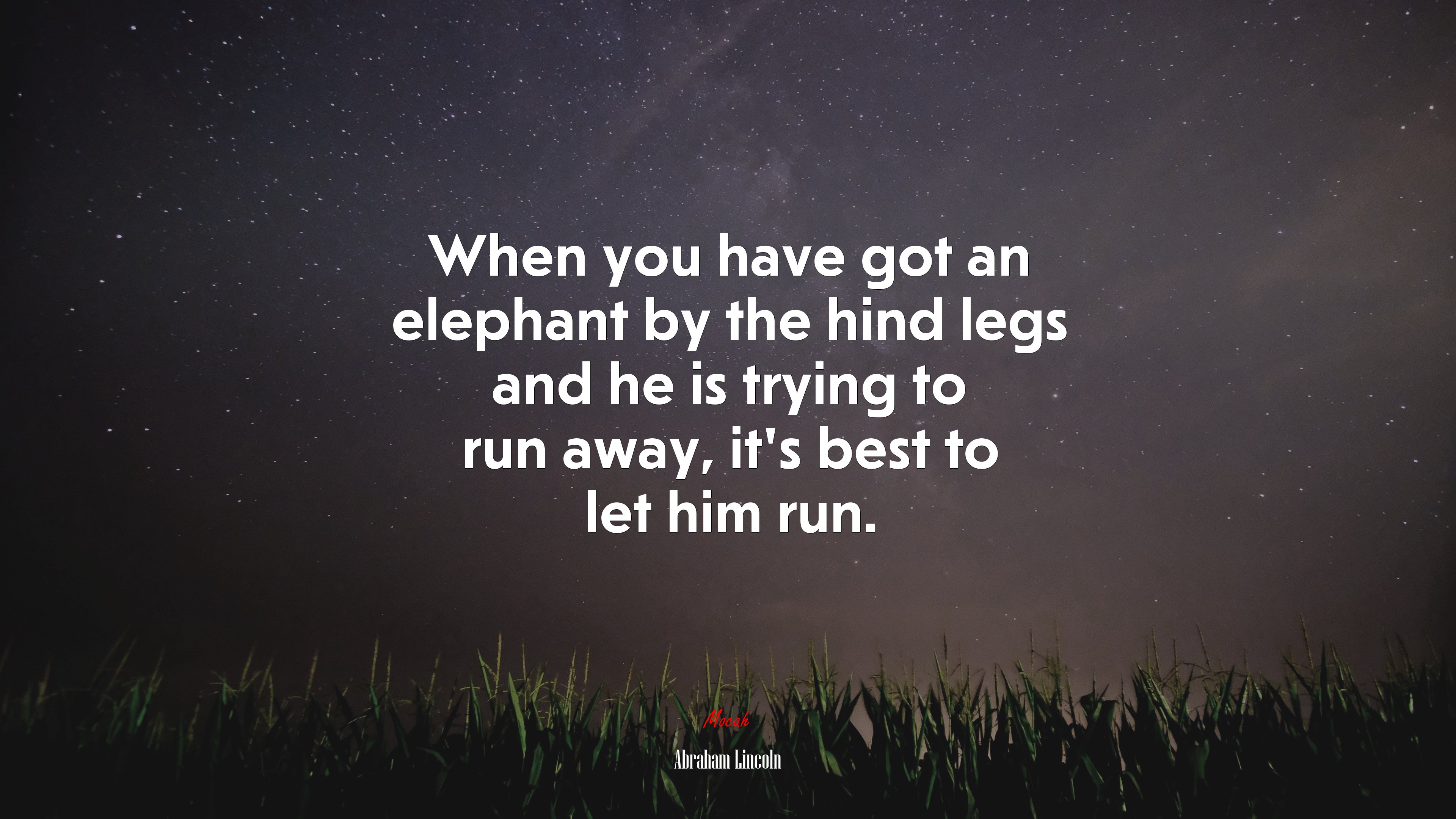 When you have got an elephant by the hind legs and he is trying to run away, it’s best to let him run. | Abraham Lincoln quote HD Wallpaper