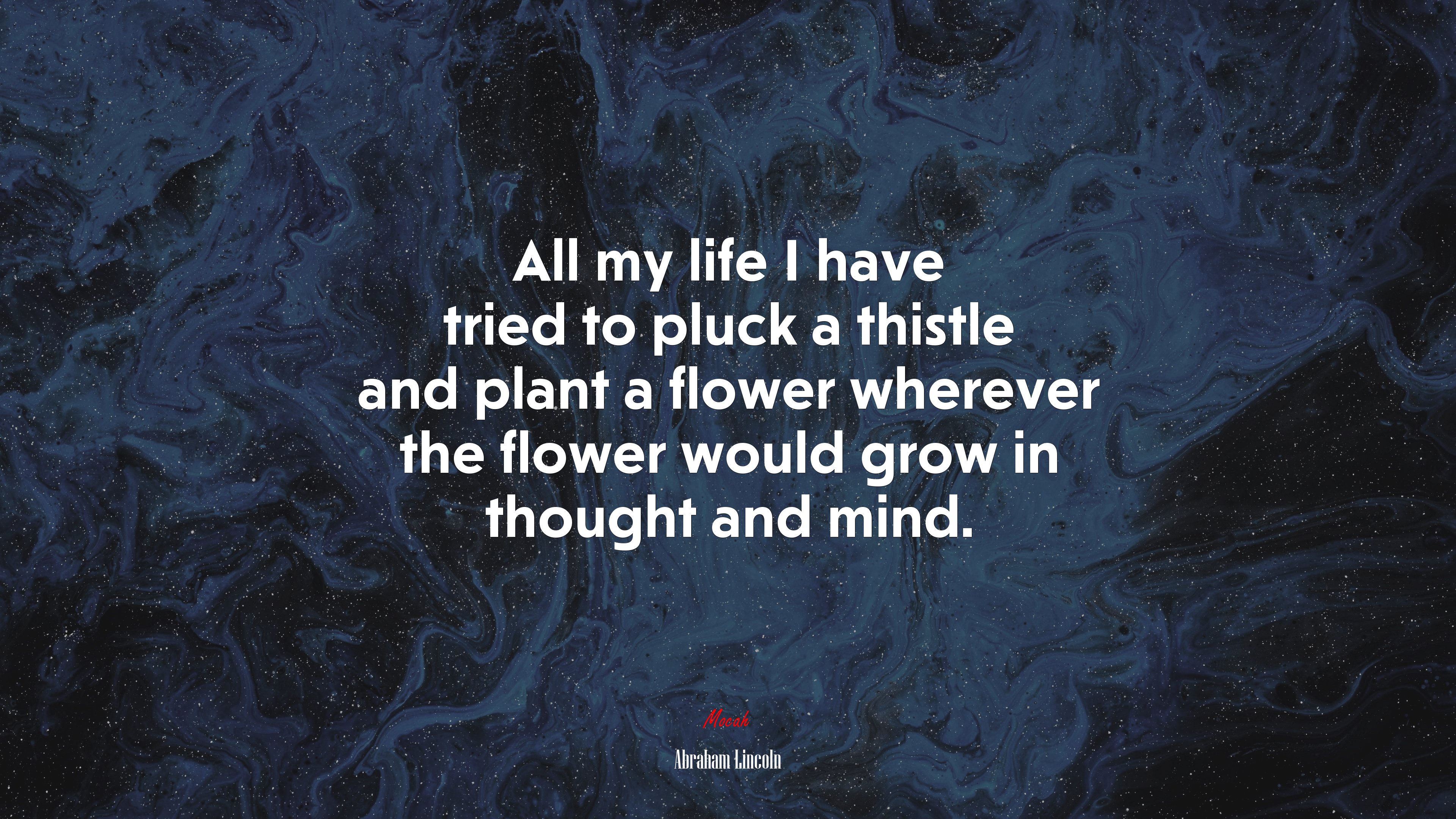 All my life I have tried to pluck a thistle and plant a flower wherever the flower would grow in thought and mind. | Abraham Lincoln quote HD Wallpaper