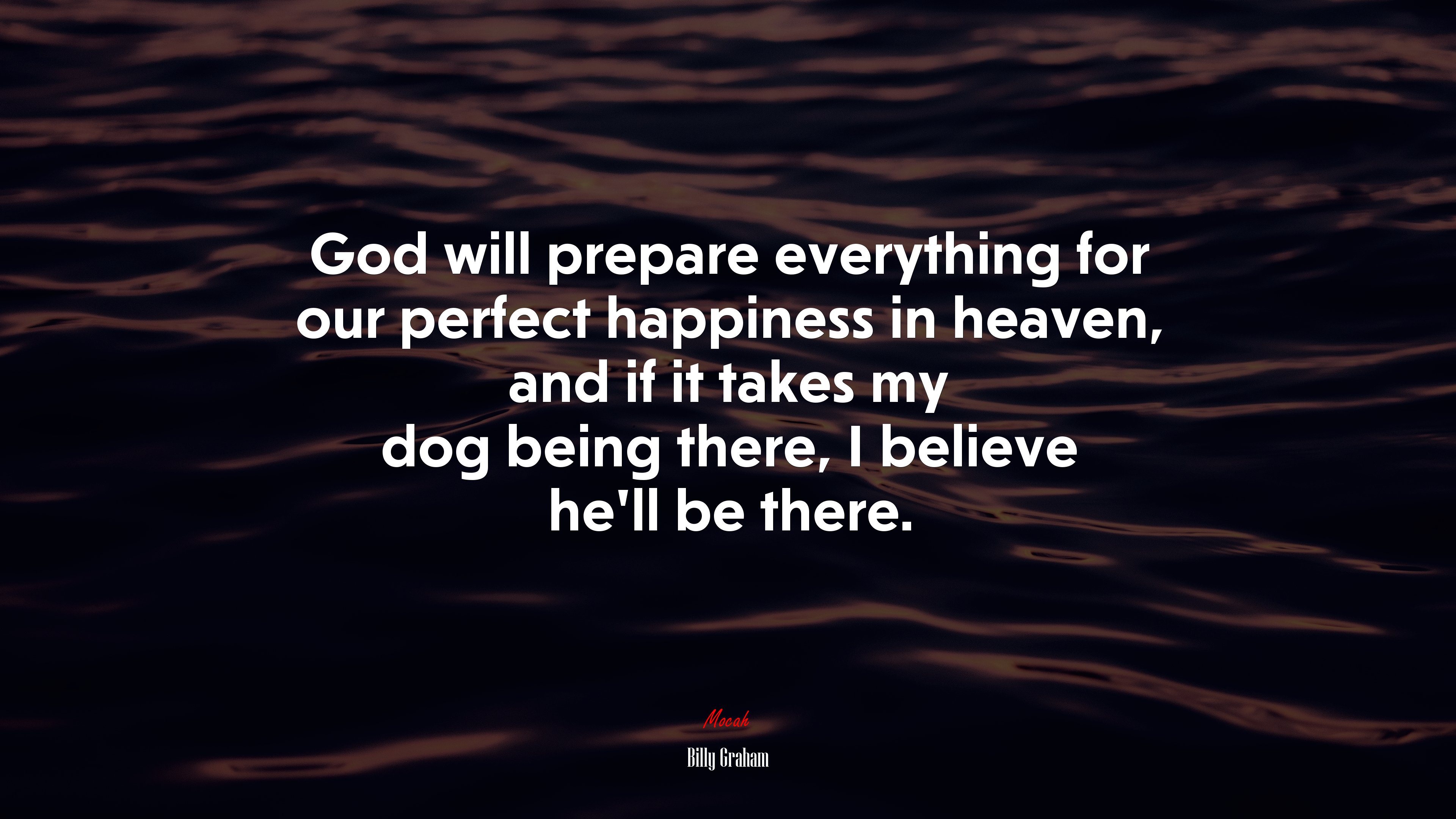 God will prepare everything for our perfect happiness in heaven, and if it takes my dog being there, I believe he’ll be there. | Billy Graham quote HD Wallpaper