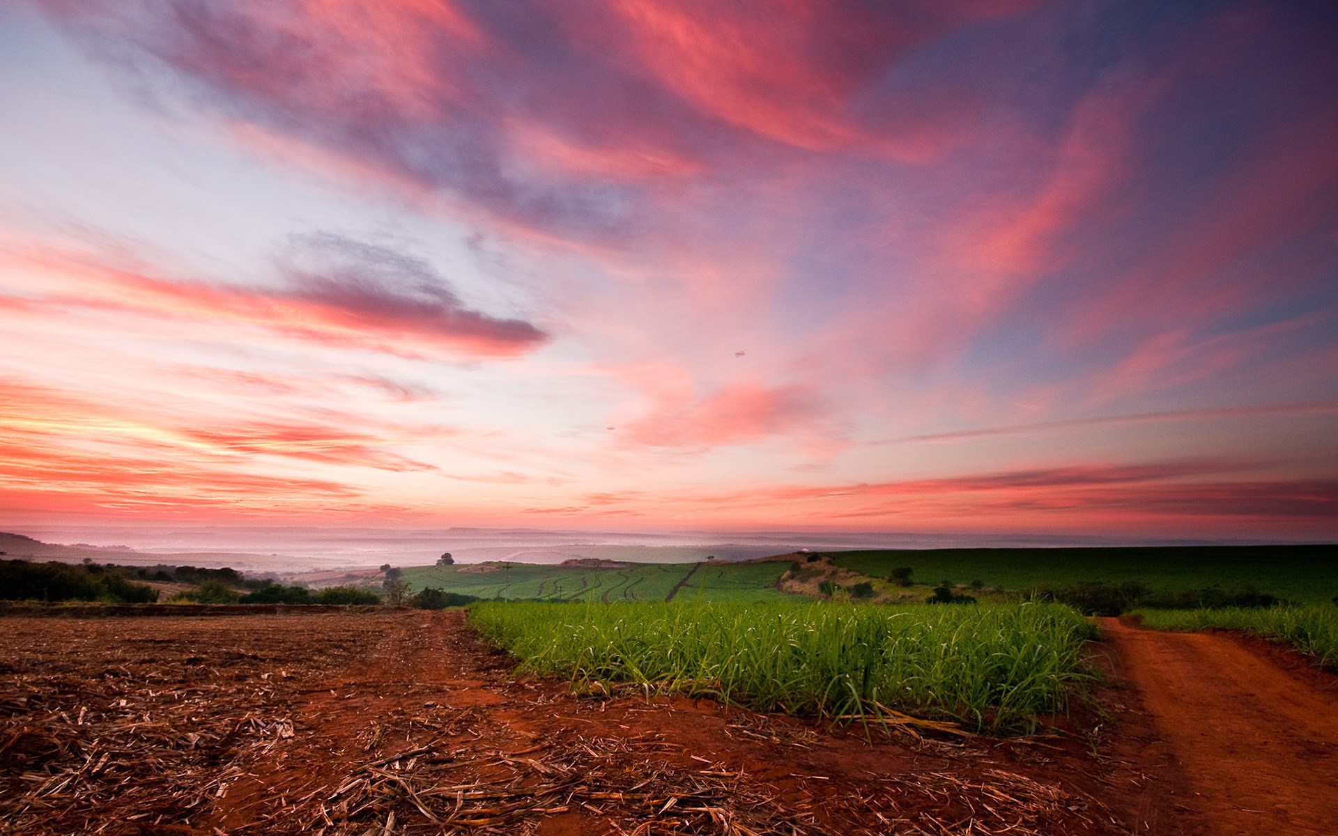 Sunrise over agricultural fields with pink clouds HD Wallpaper