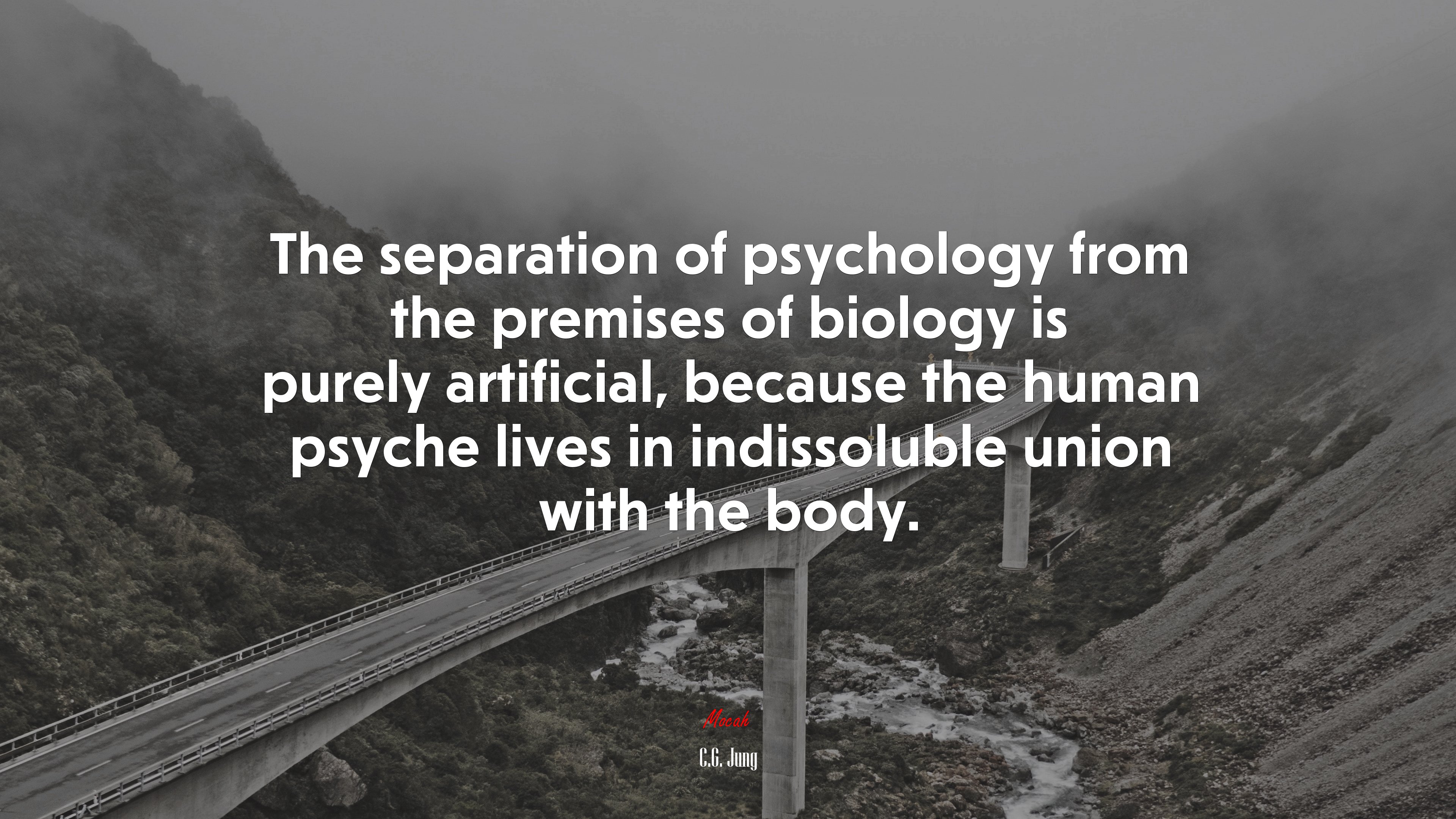 The separation of psychology from the premises of biology is purely artificial, because the human psyche lives in indissoluble union with the body. | C.G. Jung quote HD Wallpaper