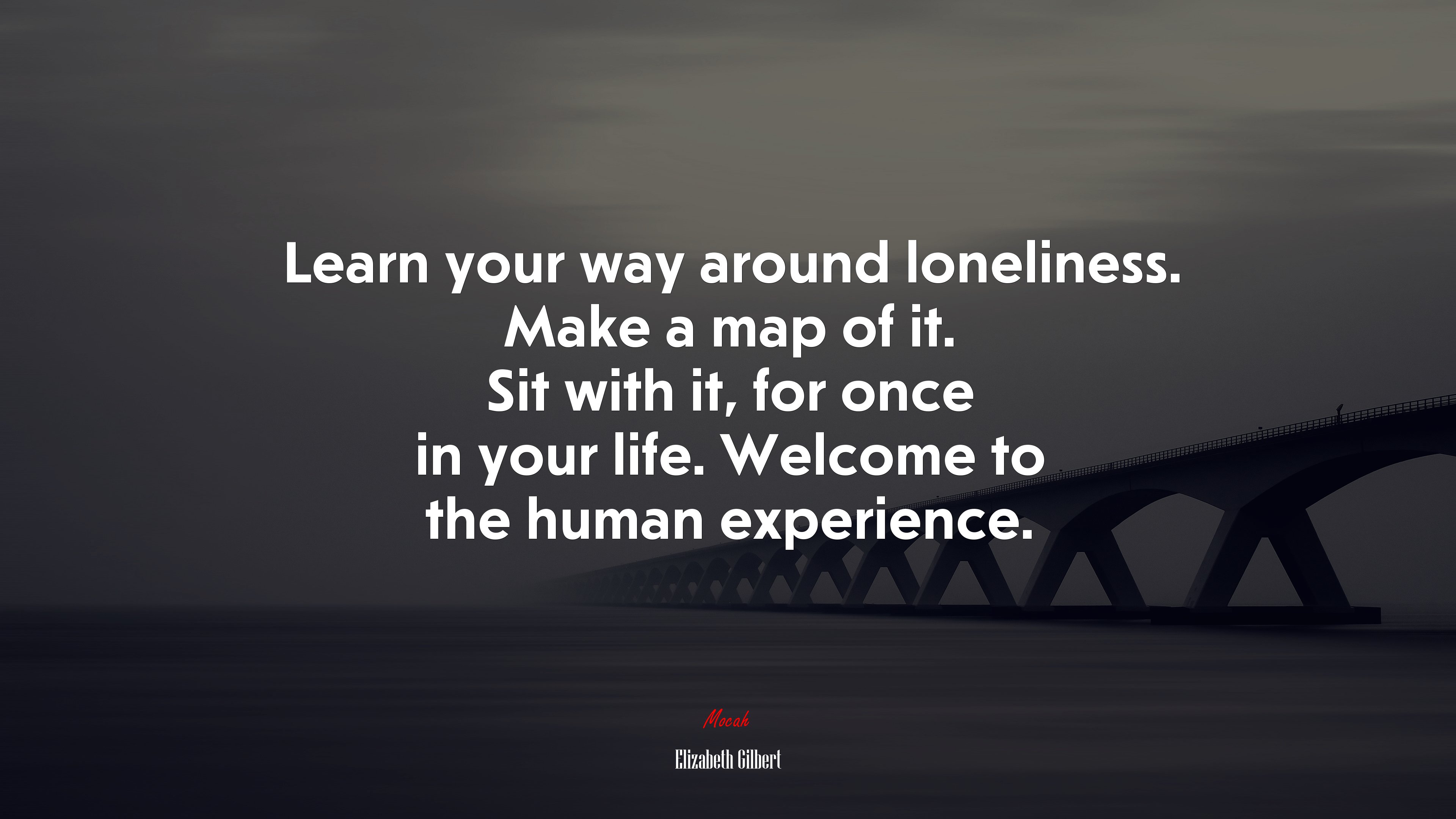 Learn your way around loneliness. Make a map of it. Sit with it, for once in your life. Welcome to the human experience. | Elizabeth Gilbert quote HD Wallpaper