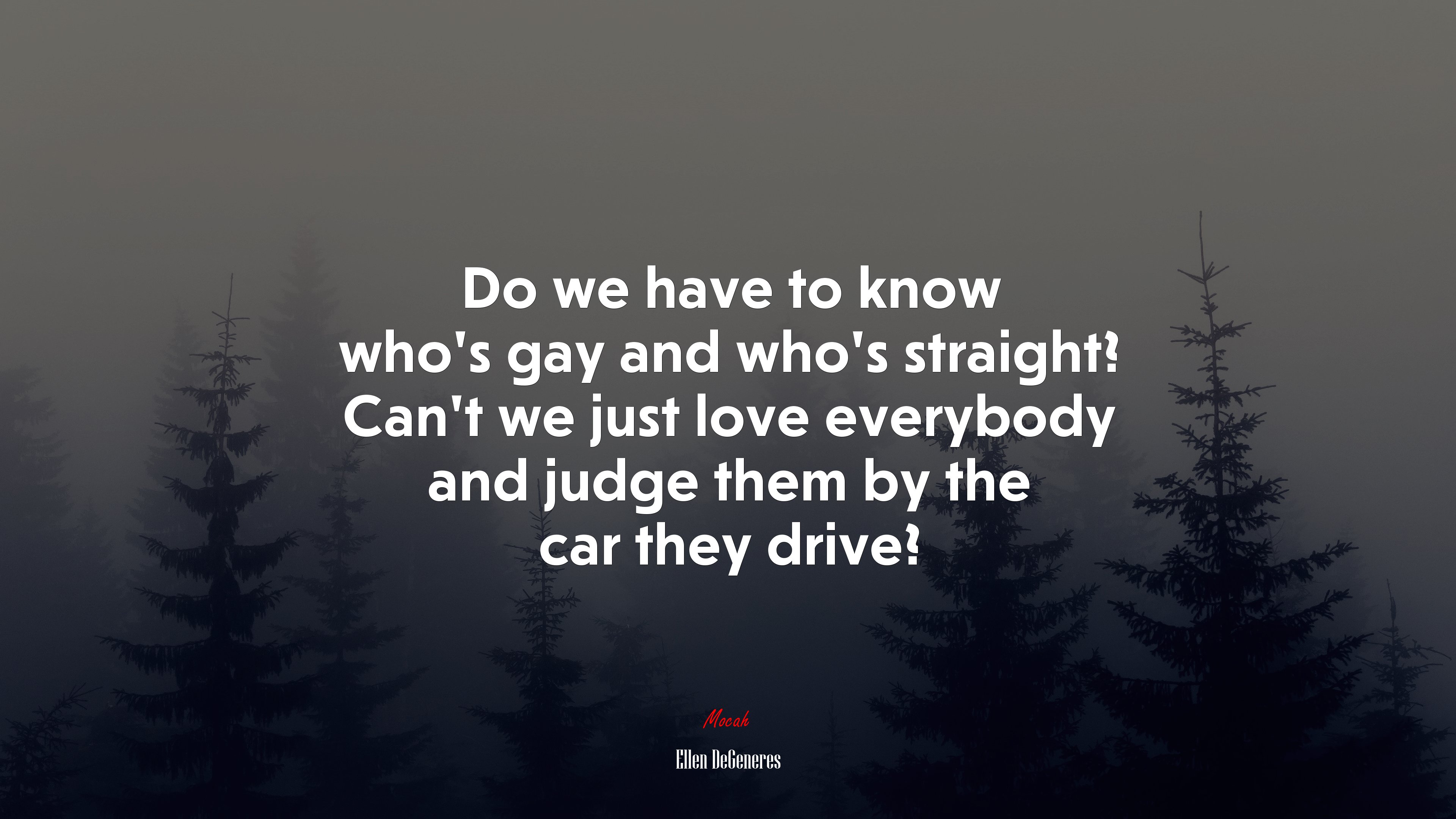 Do we have to know who’s gay and who’s straight? Can’t we just love everybody and judge them by the car they drive? | Ellen DeGeneres quote HD Wallpaper
