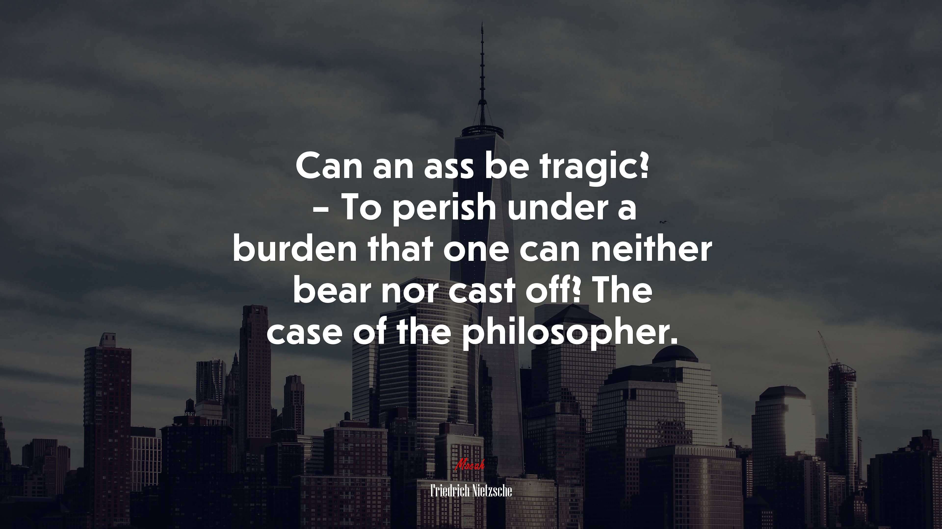 Can an ass be tragic? – To perish under a burden that one can neither bear nor cast off? The case of the philosopher. | Friedrich Nietzsche quote HD Wallpaper