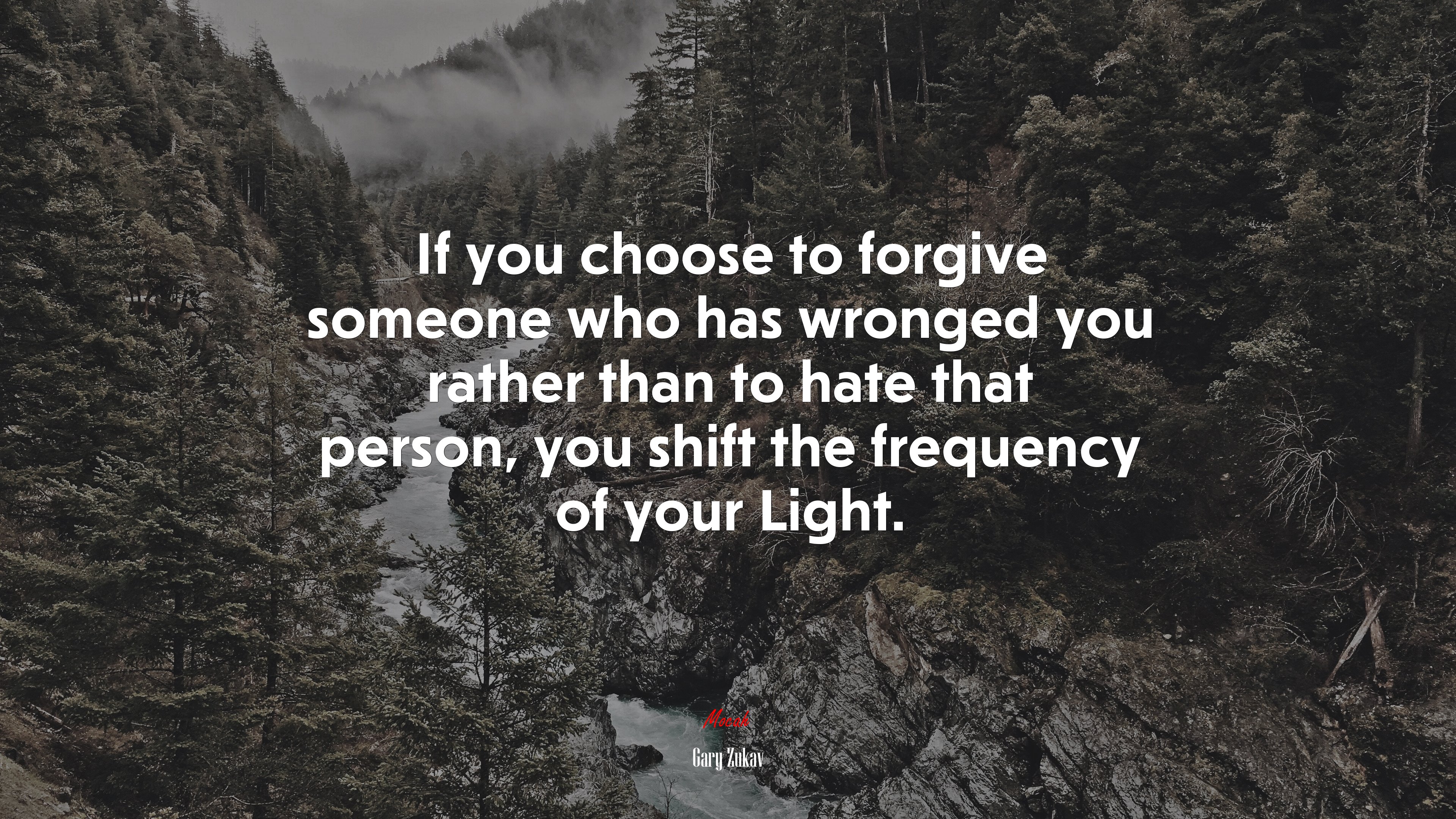 If you choose to forgive someone who has wronged you rather than to hate that person, you shift the frequency of your Light. | Gary Zukav quote HD Wallpaper