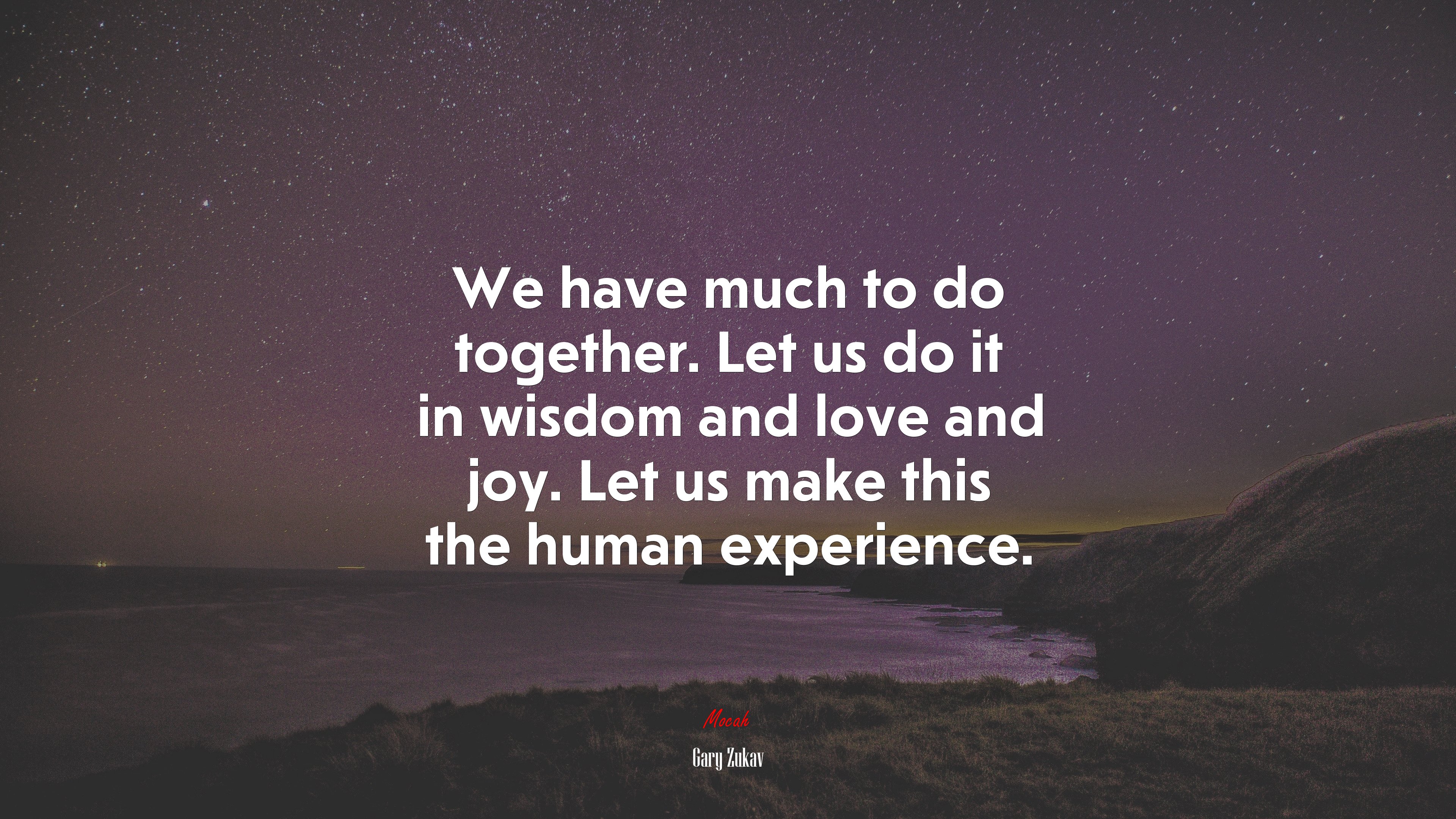 We have much to do together. Let us do it in wisdom and love and joy. Let us make this the human experience. | Gary Zukav quote HD Wallpaper
