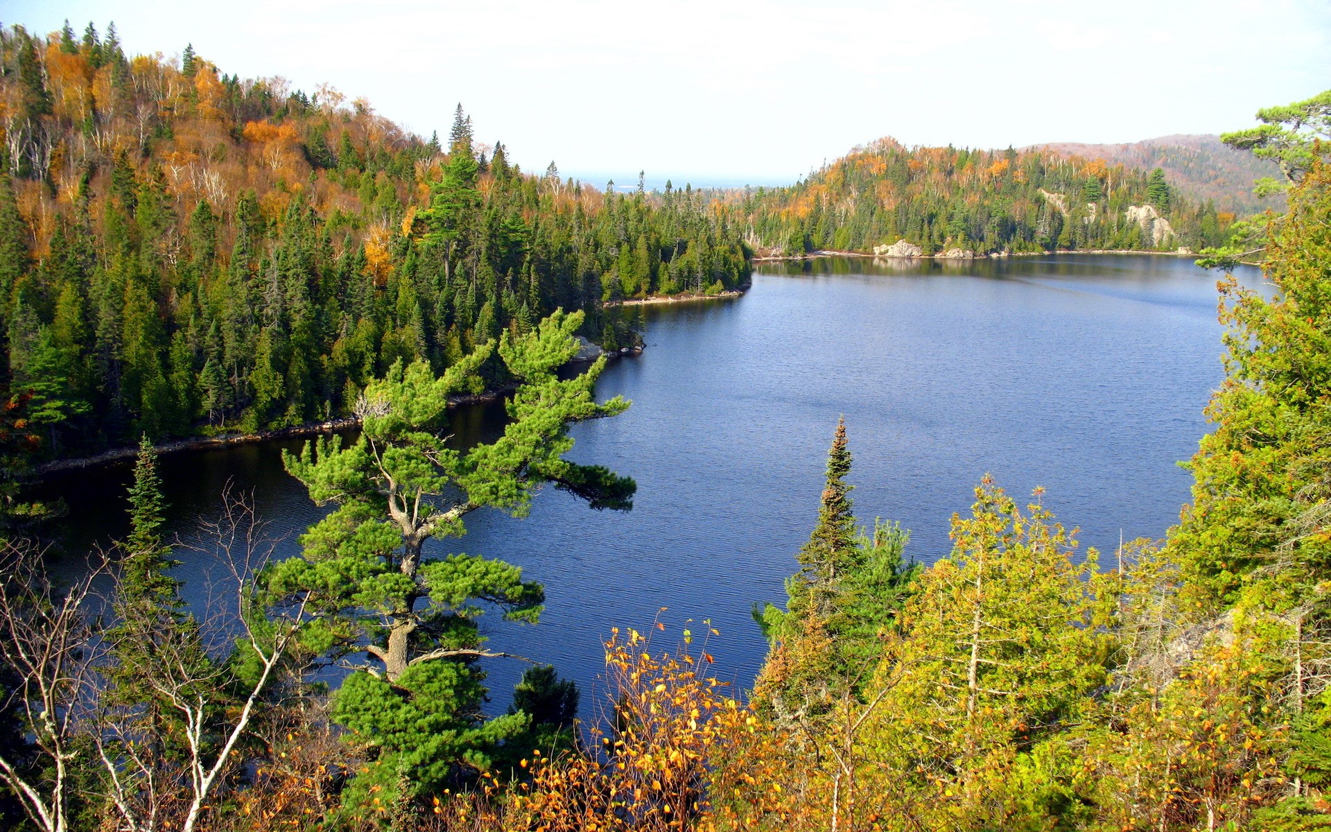 Lake surrounded by autumn forest and evergreen trees HD Wallpaper