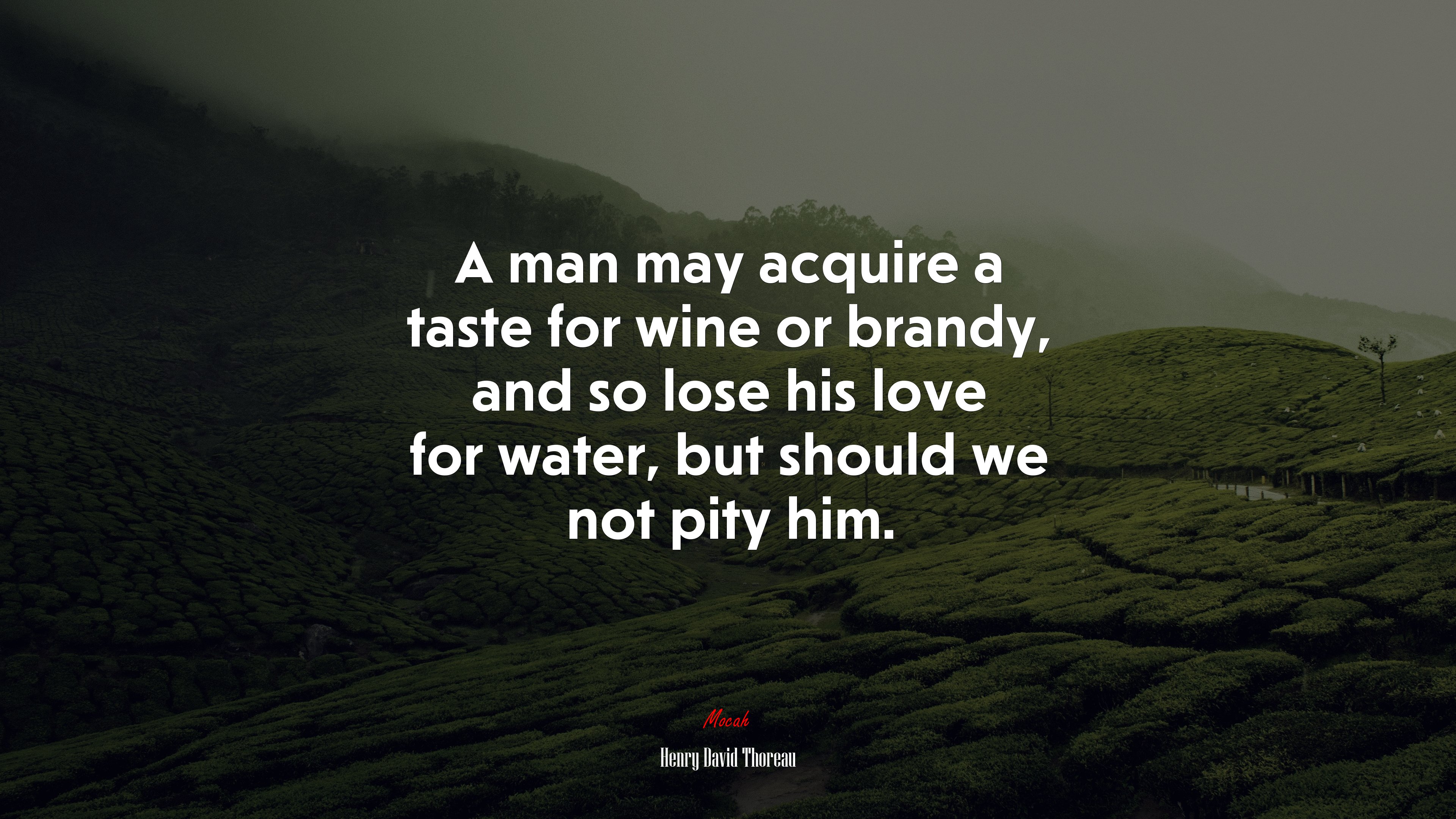 A man may acquire a taste for wine or brandy, and so lose his love for water, but should we not pity him. | Henry David Thoreau quote HD Wallpaper